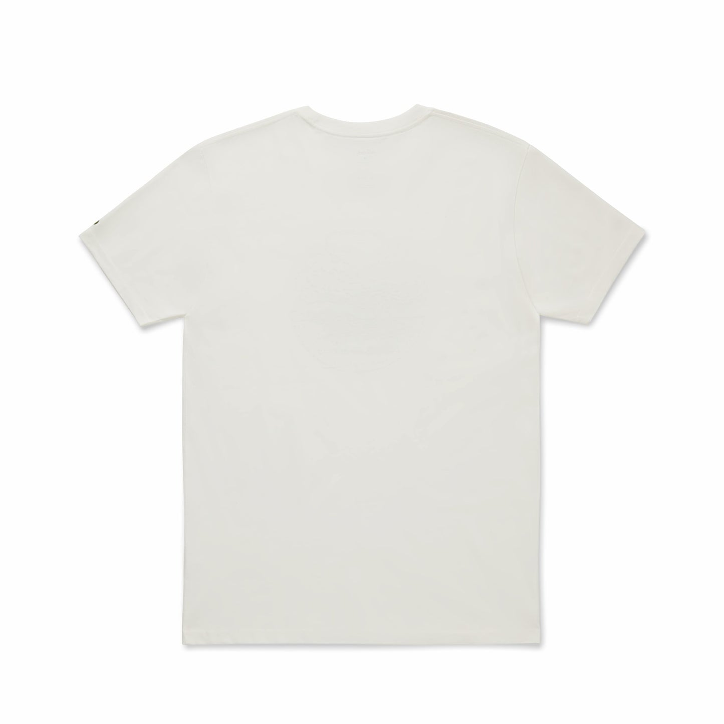 Unisex Organic Cotton Graphic Tee / Allbirds
