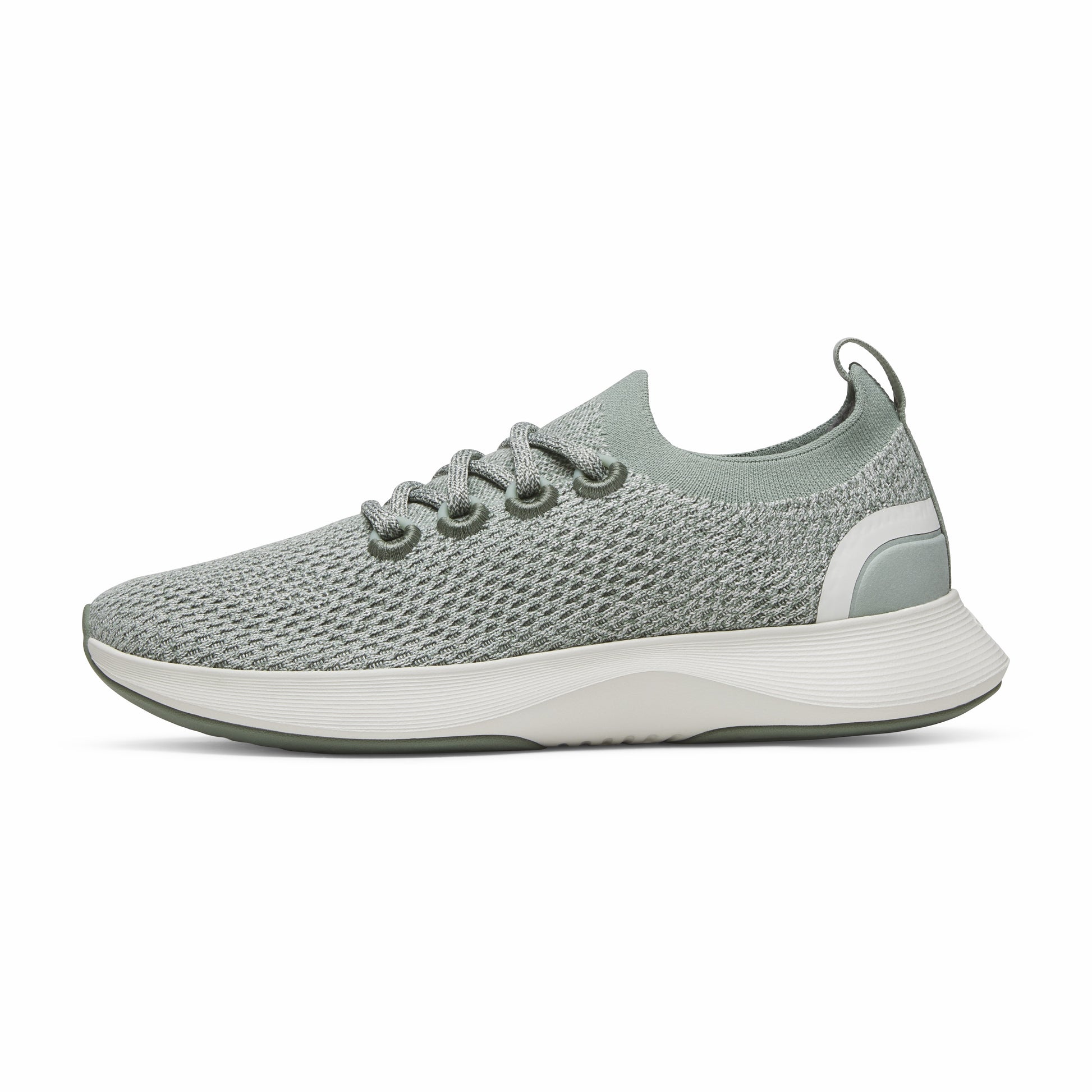 Dasher NZ / Allbirds
