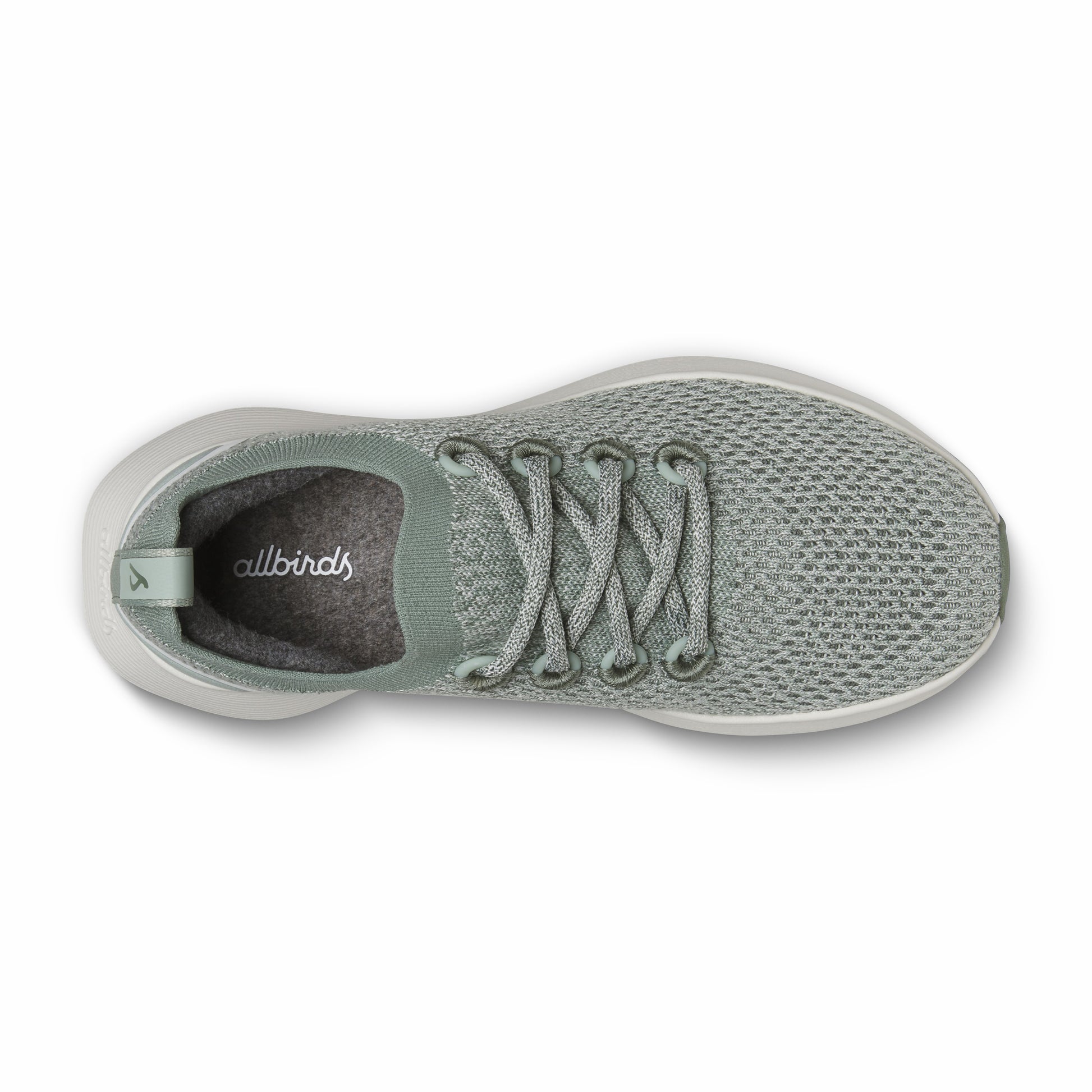 Dasher NZ / Allbirds