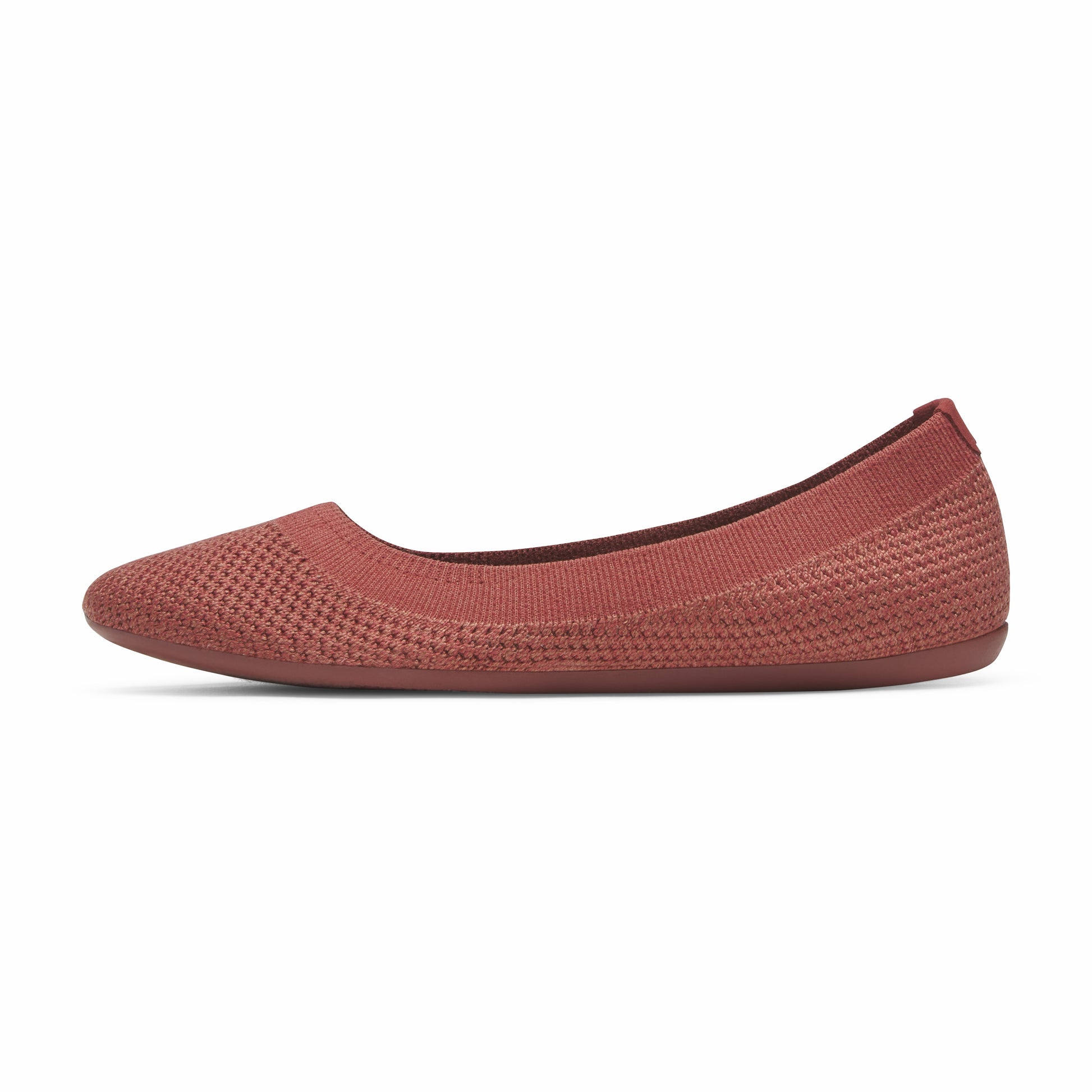 Tree Breezer / Allbirds