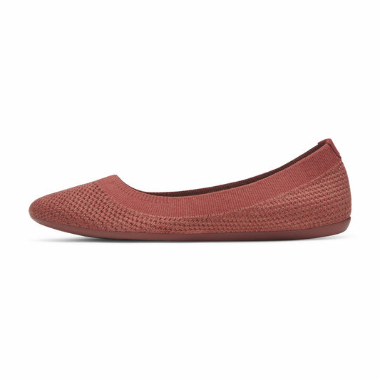Tree Breezer / Allbirds