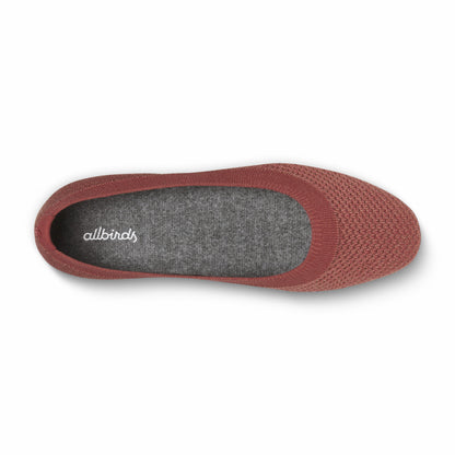 Tree Breezer / Allbirds