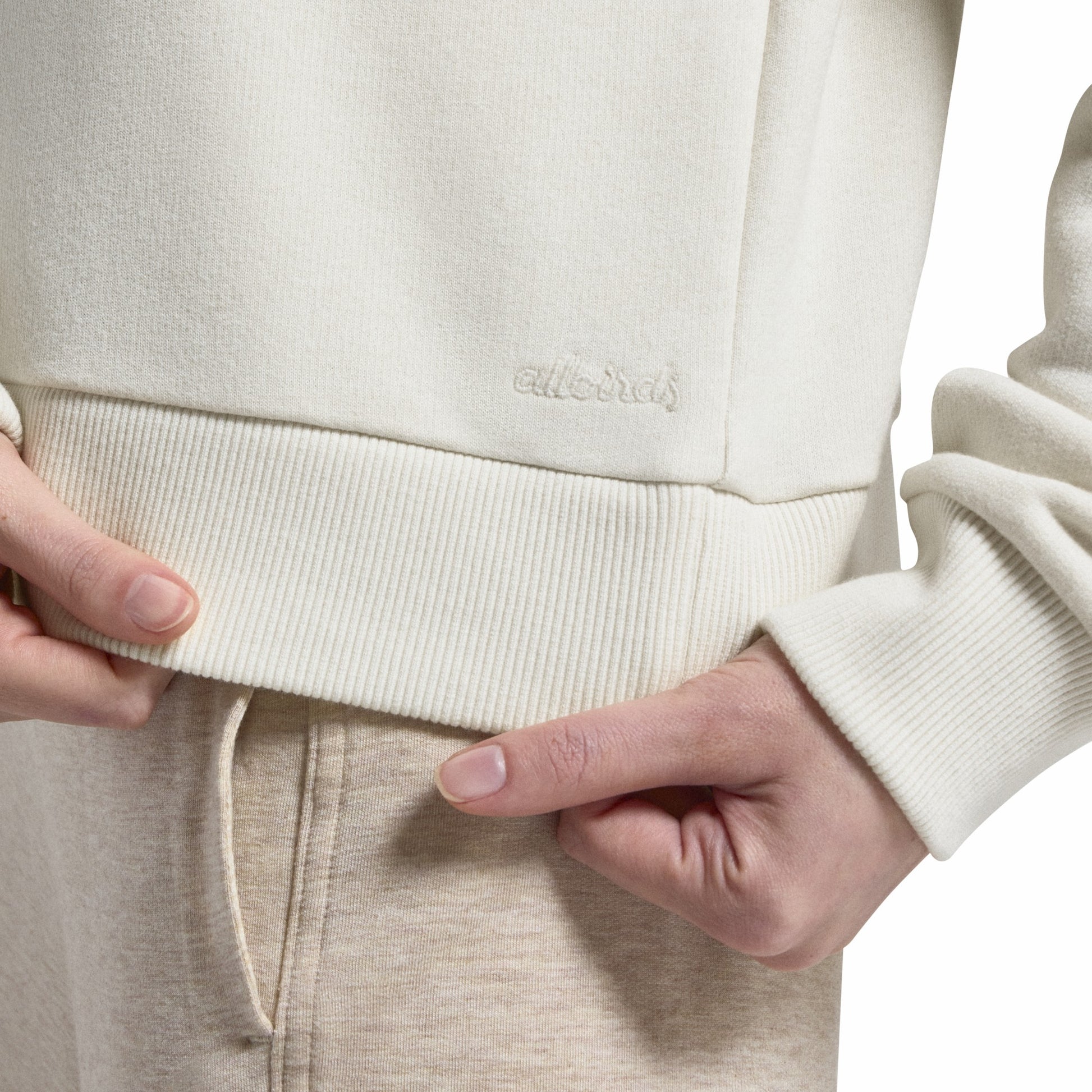 Merino Blend Sweatshirt / Allbirds