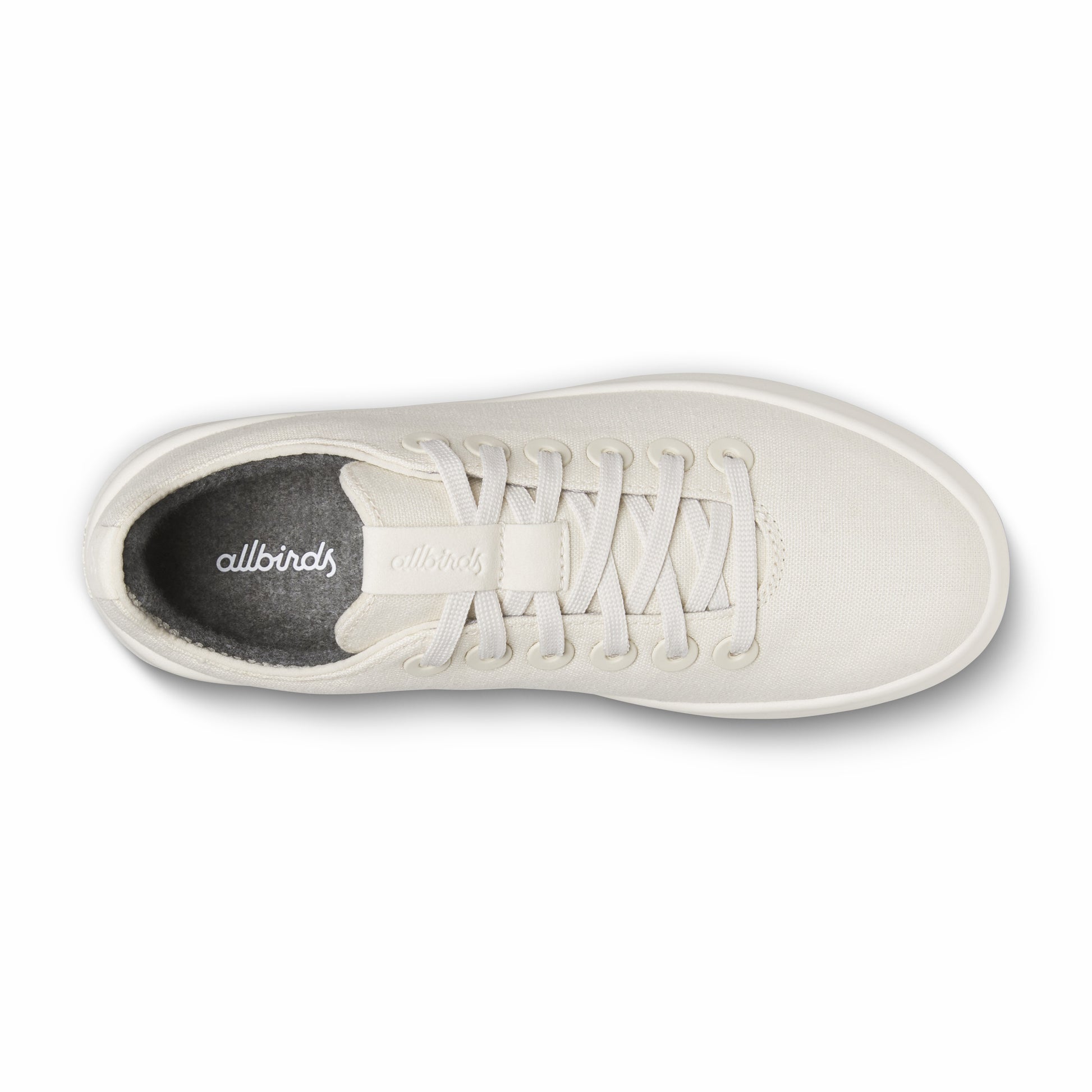 Canvas Cruiser / Allbirds