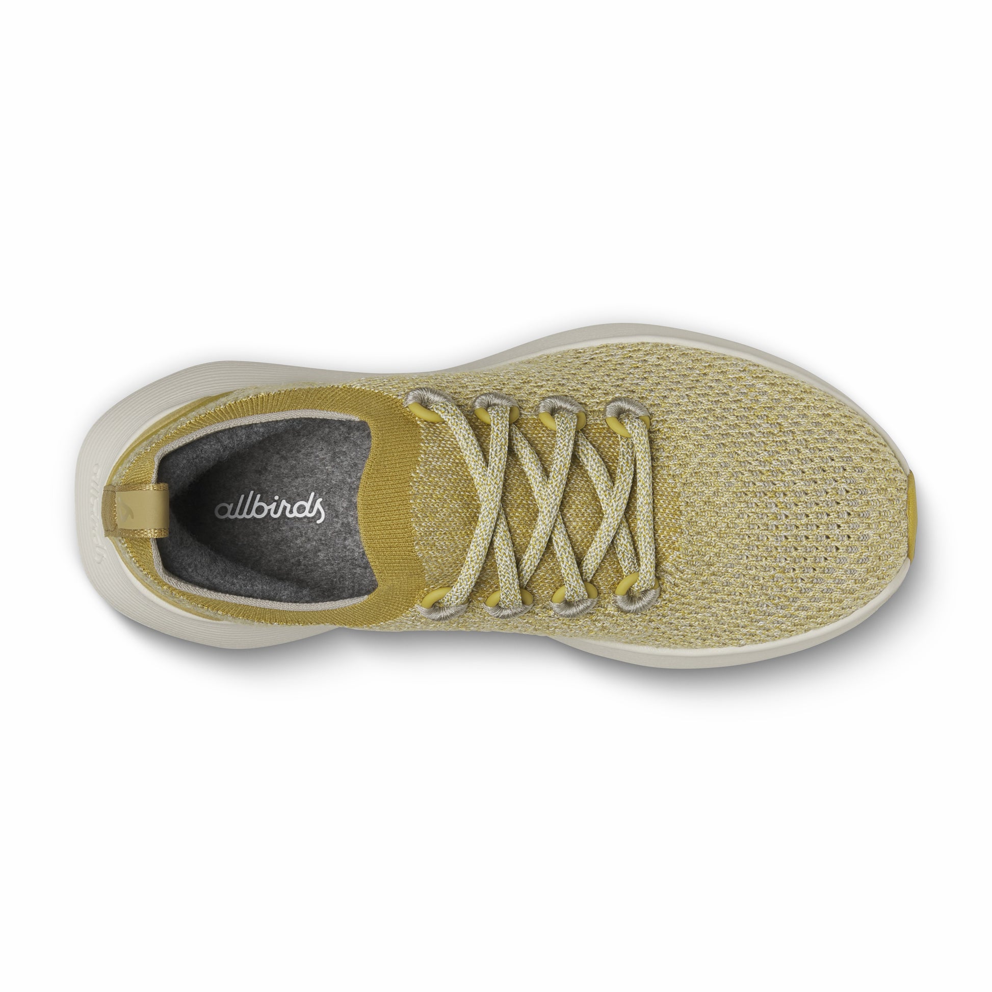 Dasher NZ / Allbirds