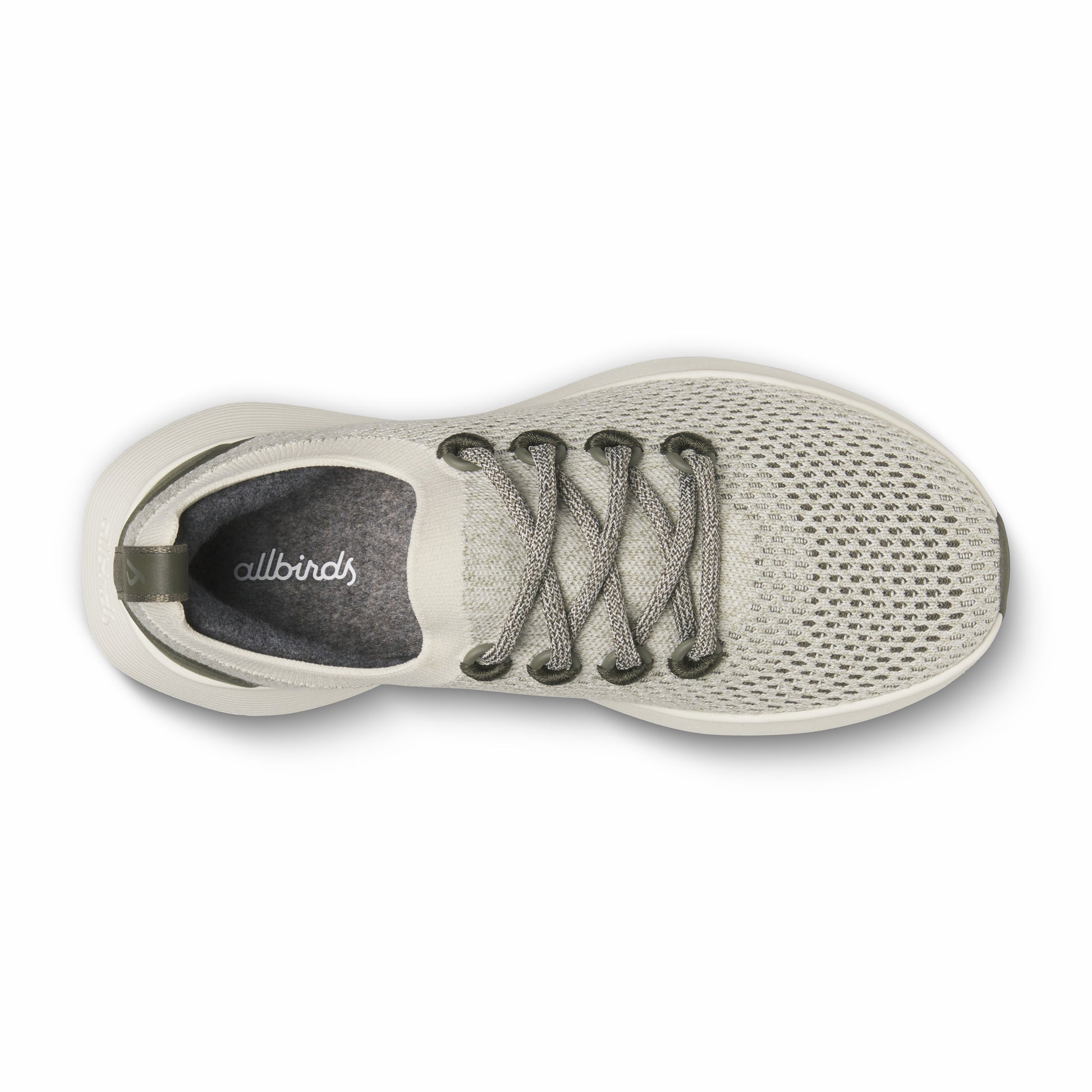 Dasher NZ / Allbirds