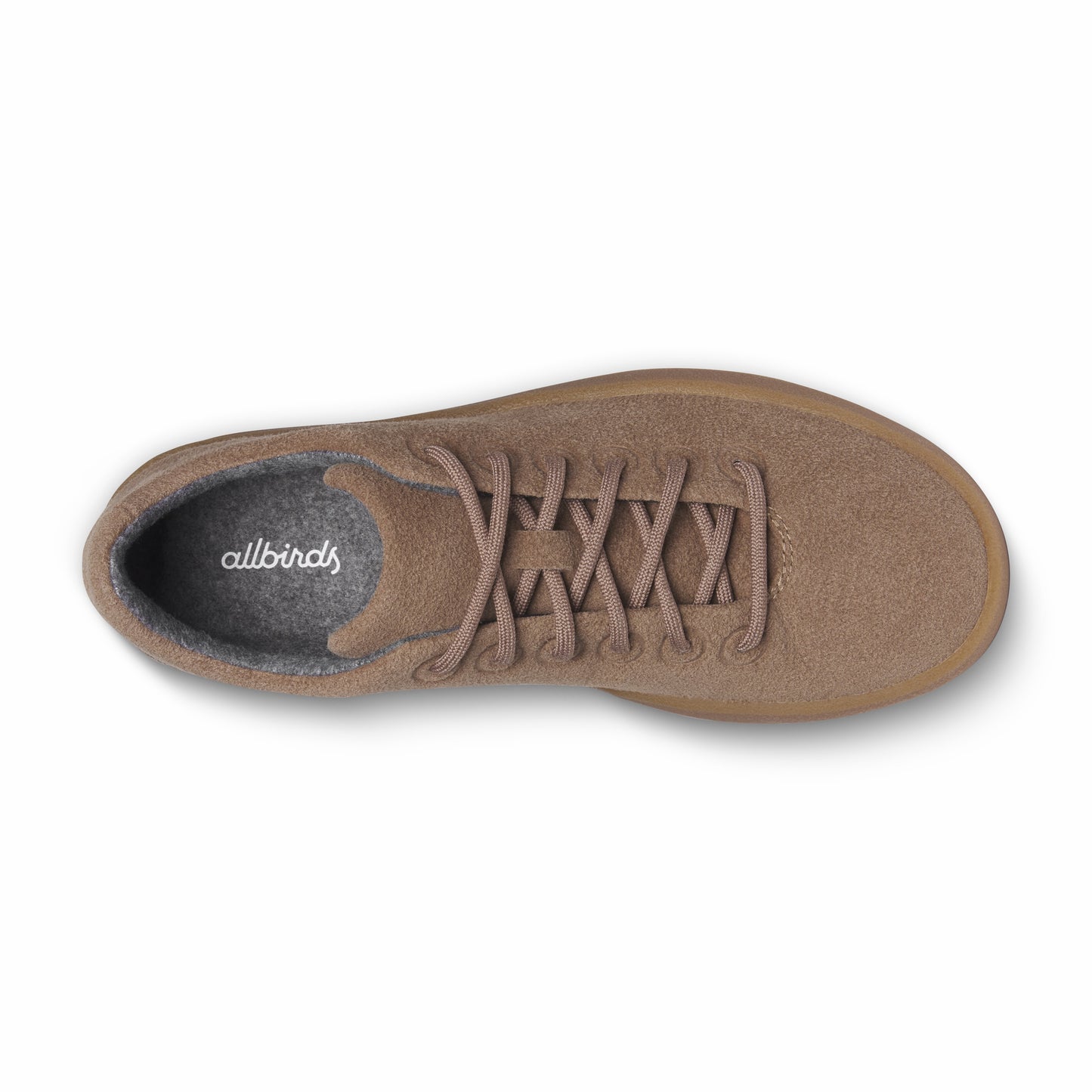 Cruiser Terralux / Allbirds