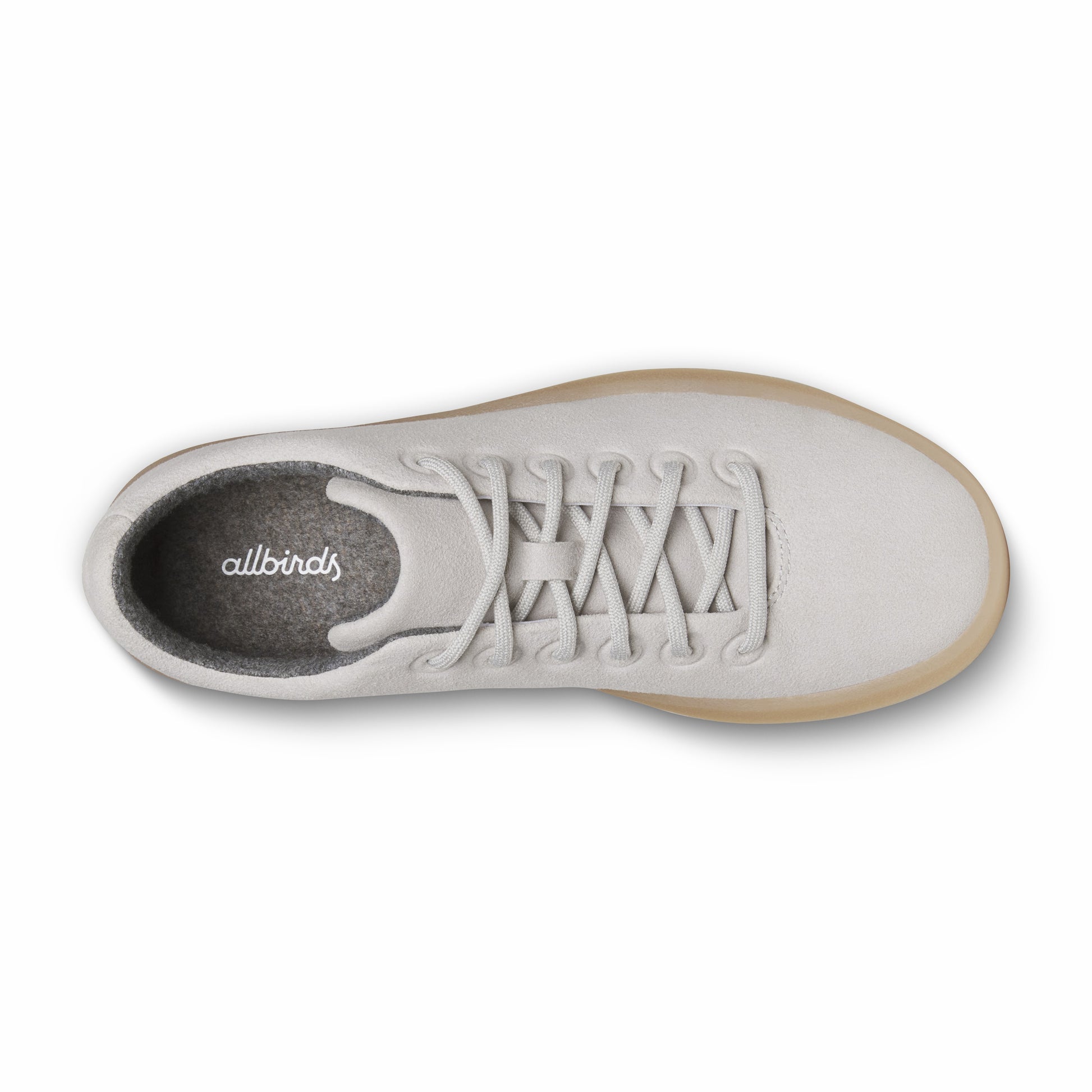 Cruiser Terralux / Allbirds