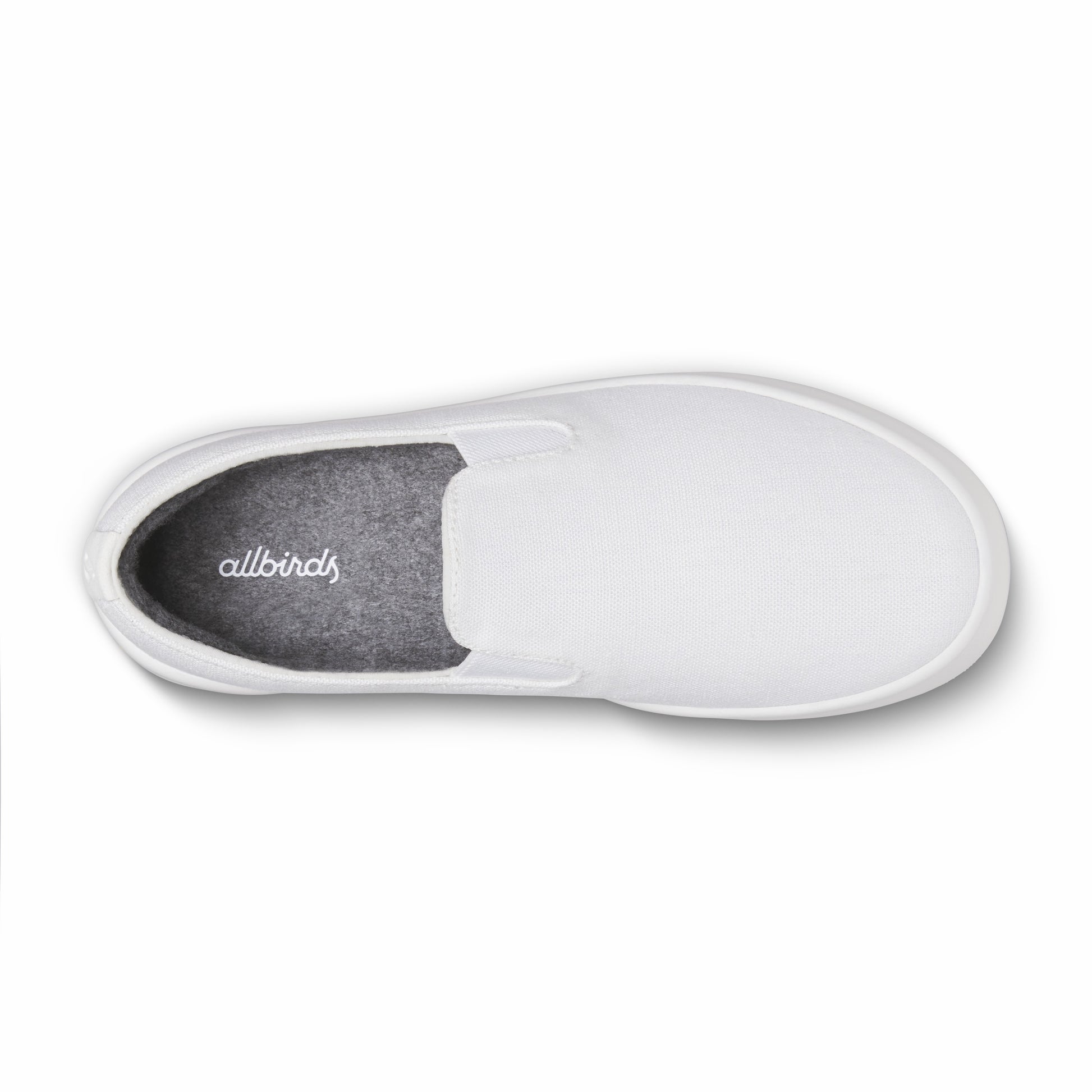 Canvas Cruiser Slip On / Allbirds
