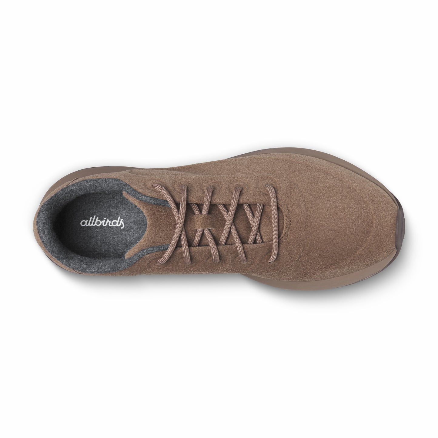 Varsity Terralux / Allbirds