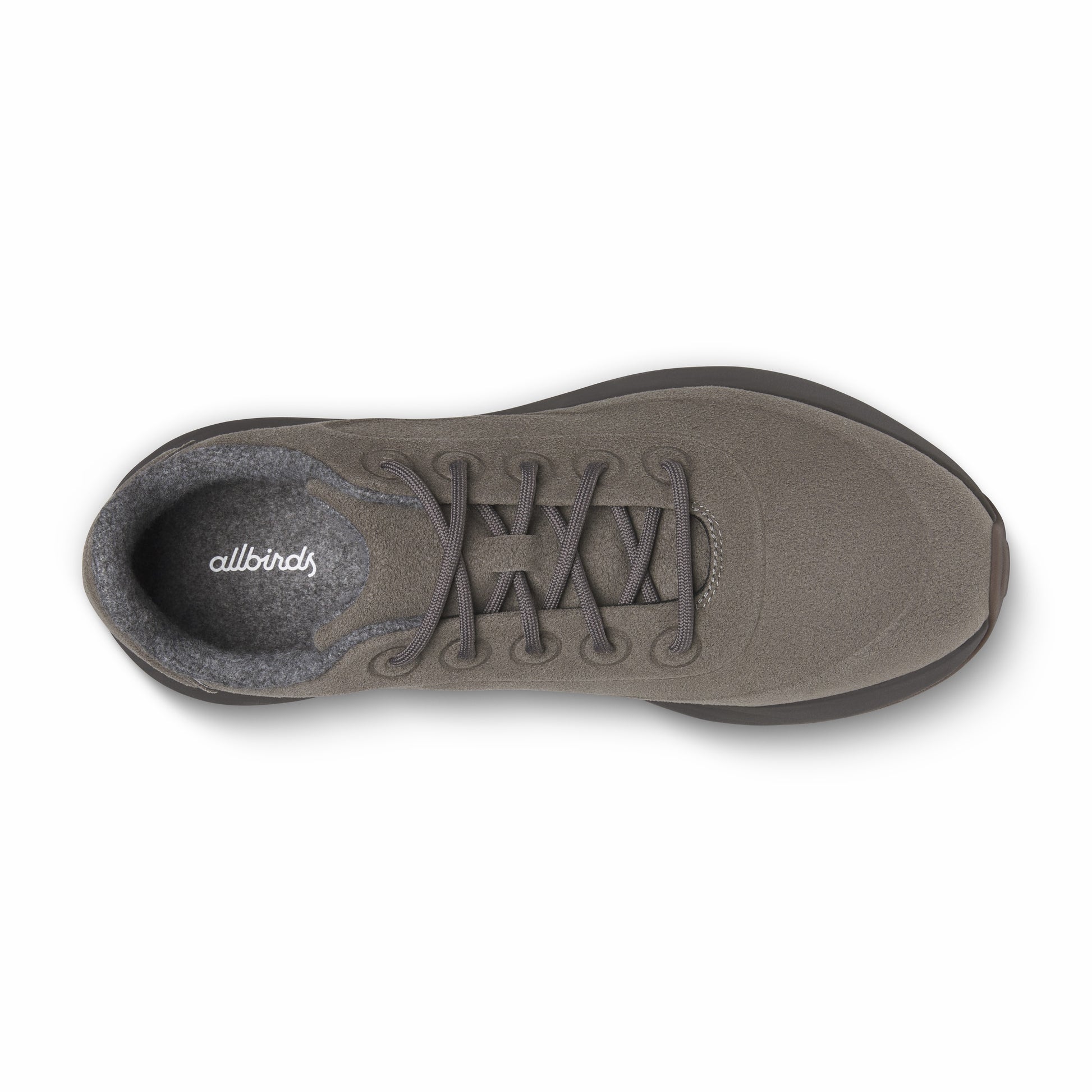 Varsity Terralux / Allbirds