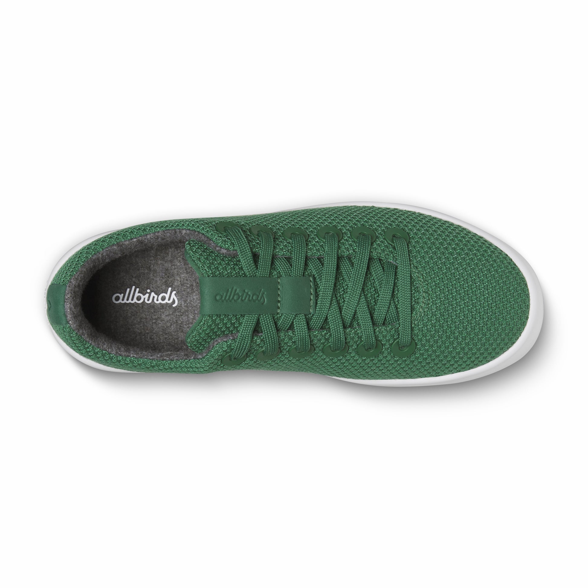 Cruiser / Allbirds