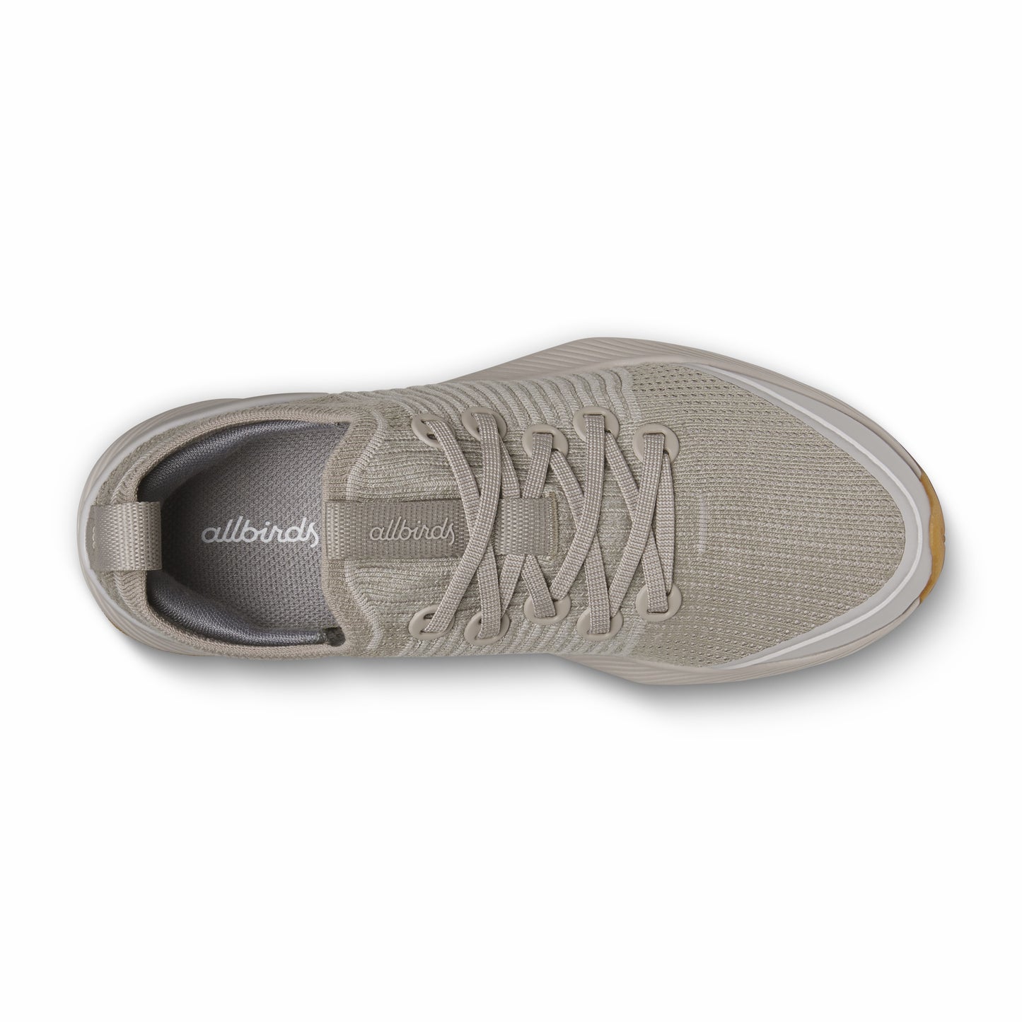 Tree Glider / Allbirds