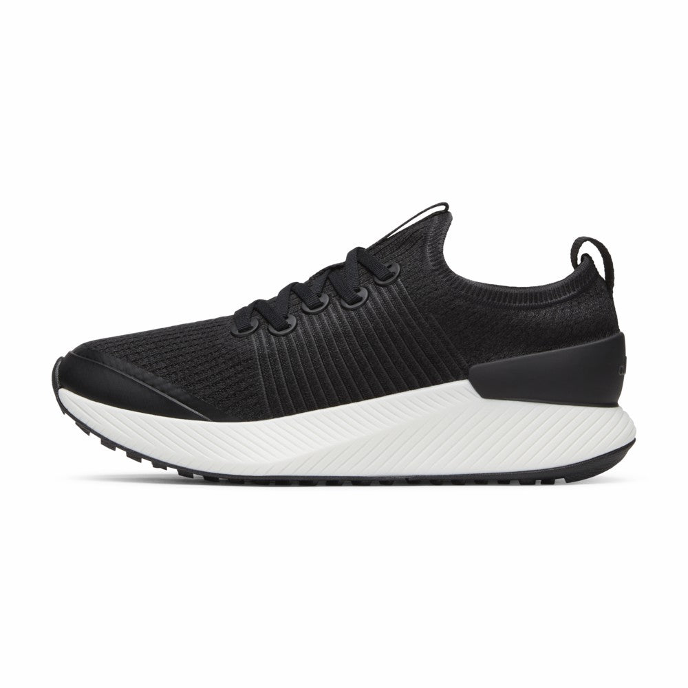 Tree Glider / Allbirds