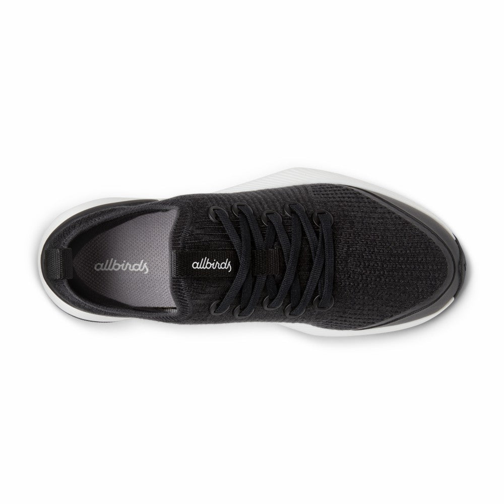Tree Glider / Allbirds