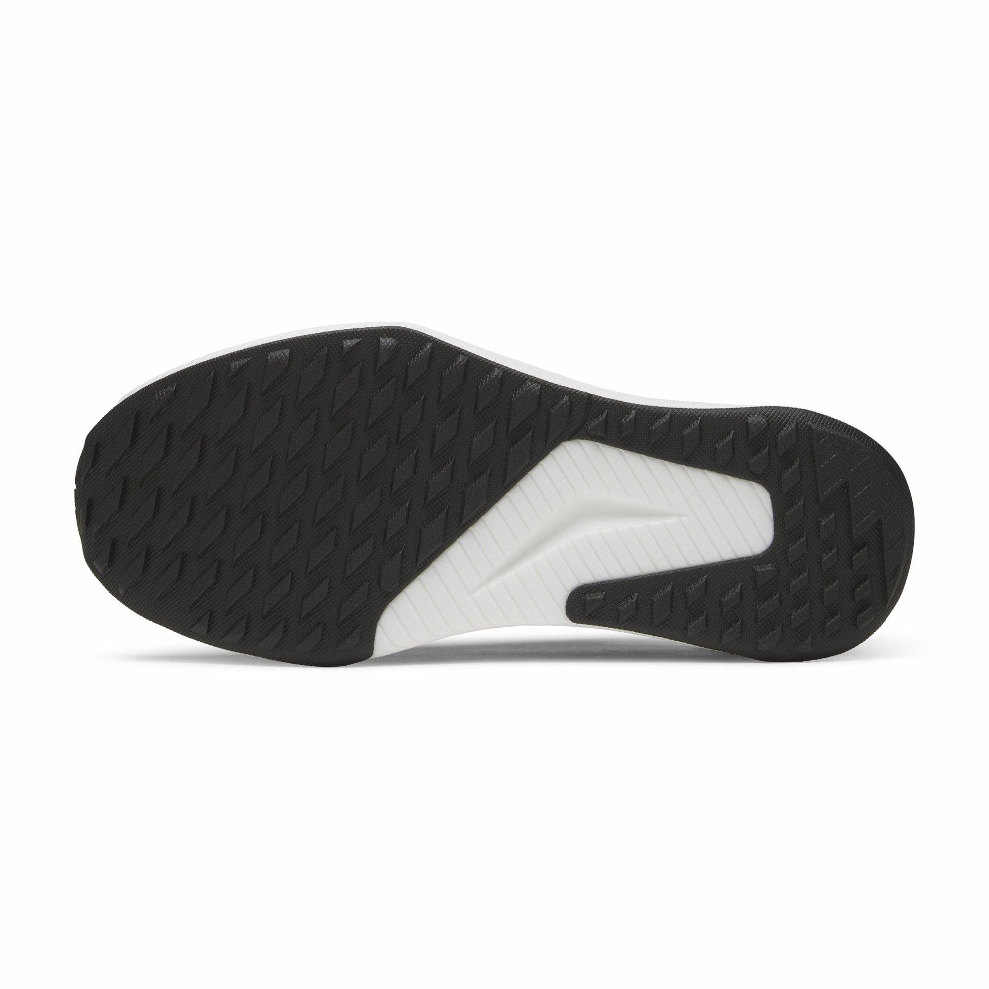 Tree Glider / Allbirds