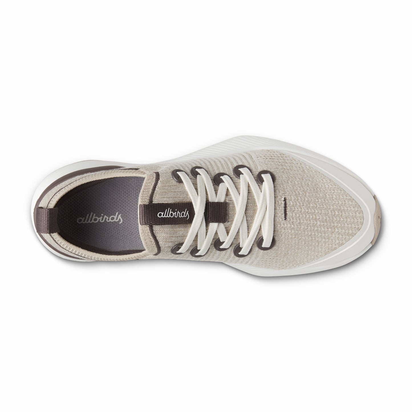 Tree Glider / Allbirds