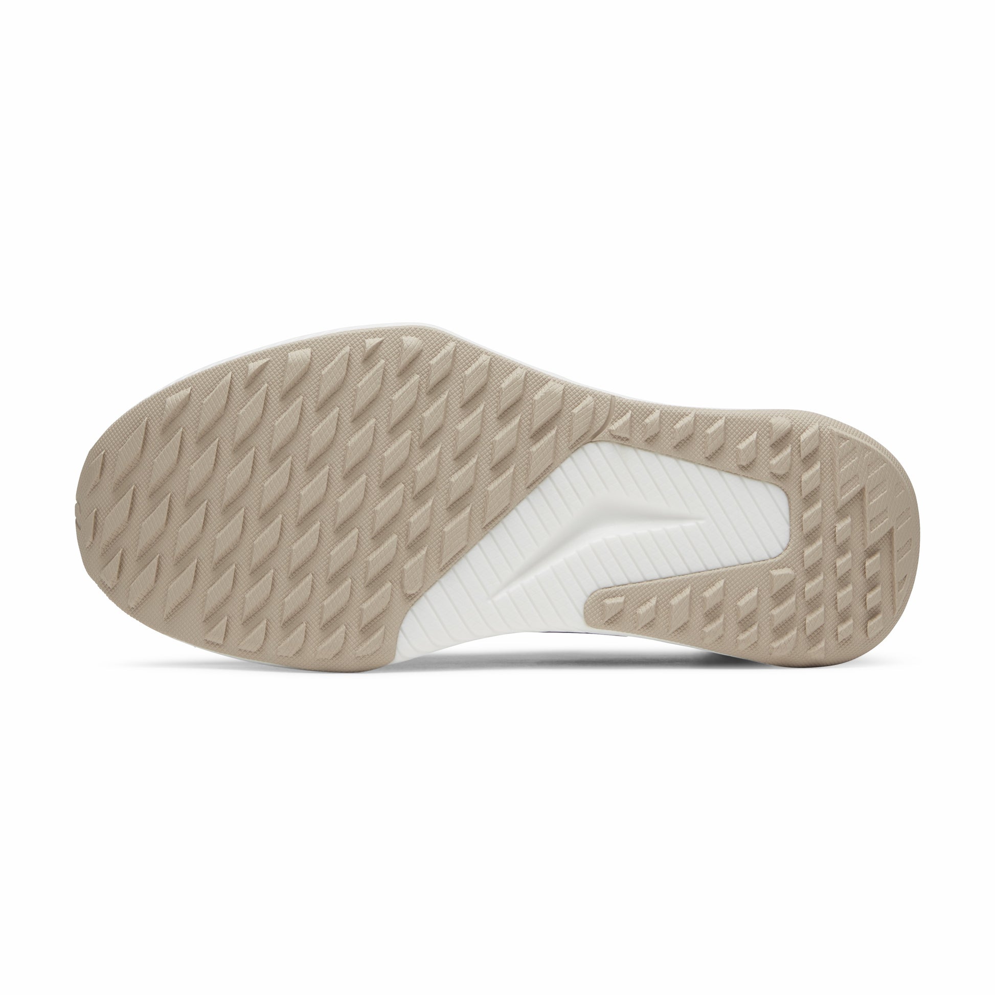 Tree Glider / Allbirds