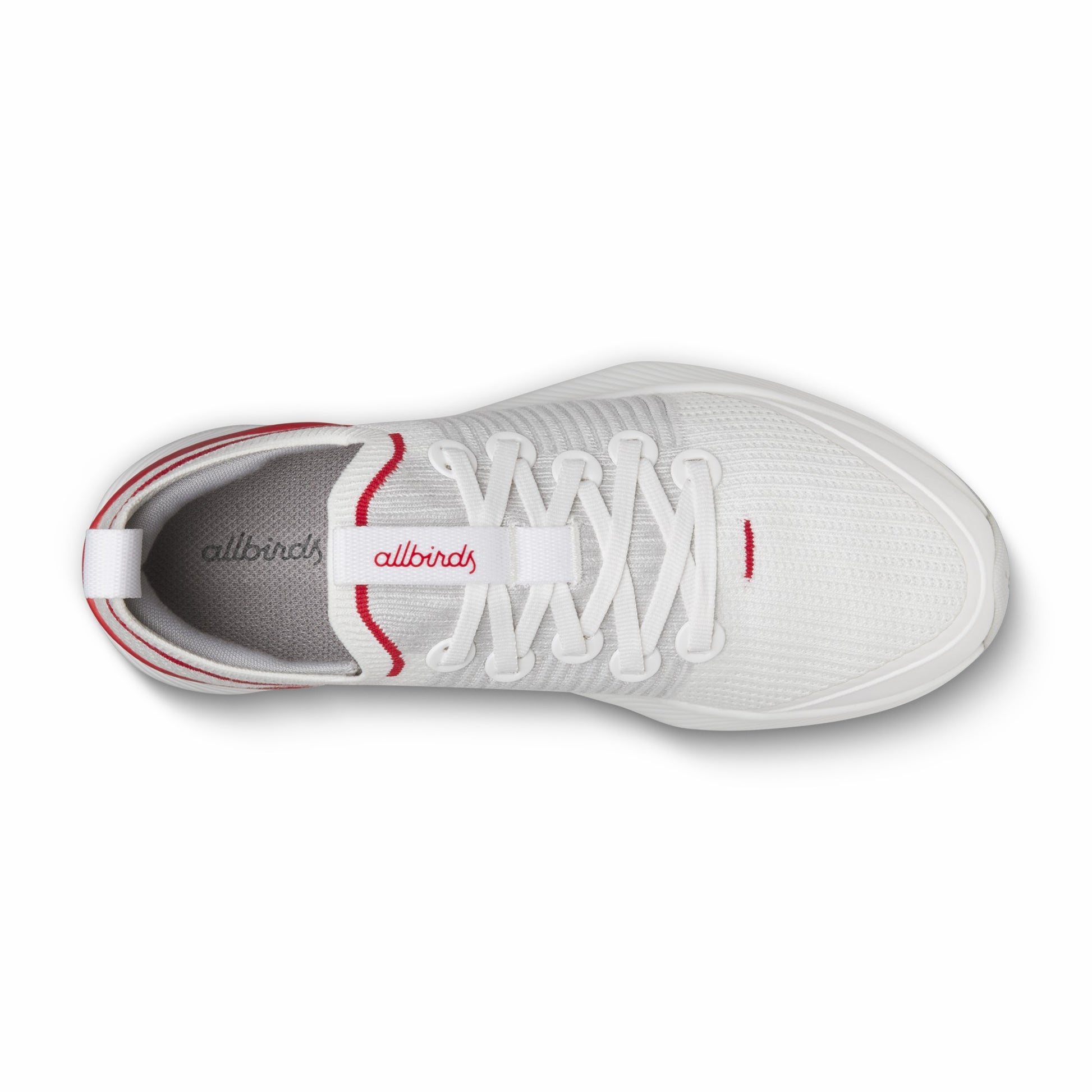 Tree Glider / Allbirds