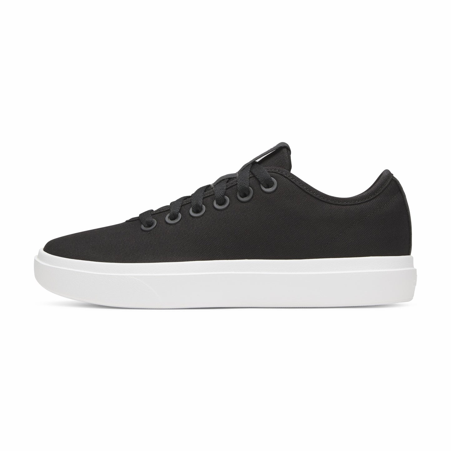 Canvas Piper / Allbirds