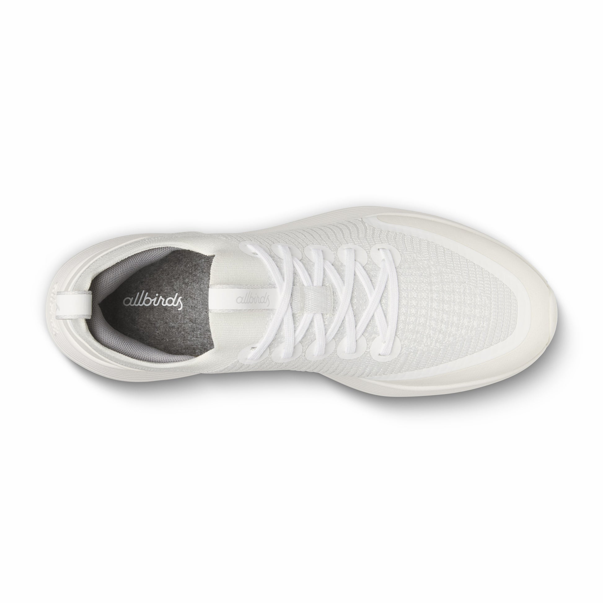 Strider / Allbirds