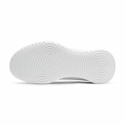 Wool Runner Go / Allbirds