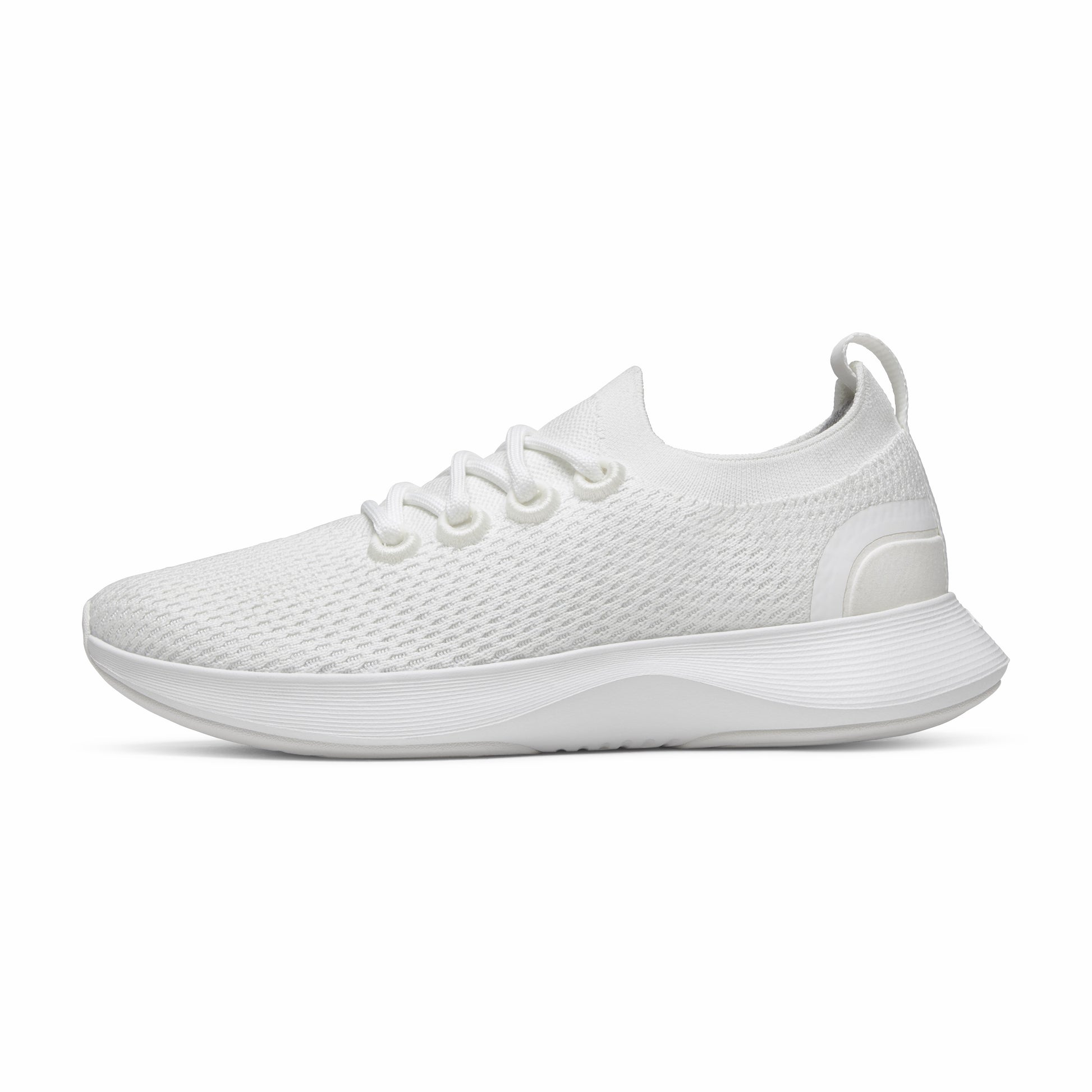 Dasher NZ / Allbirds