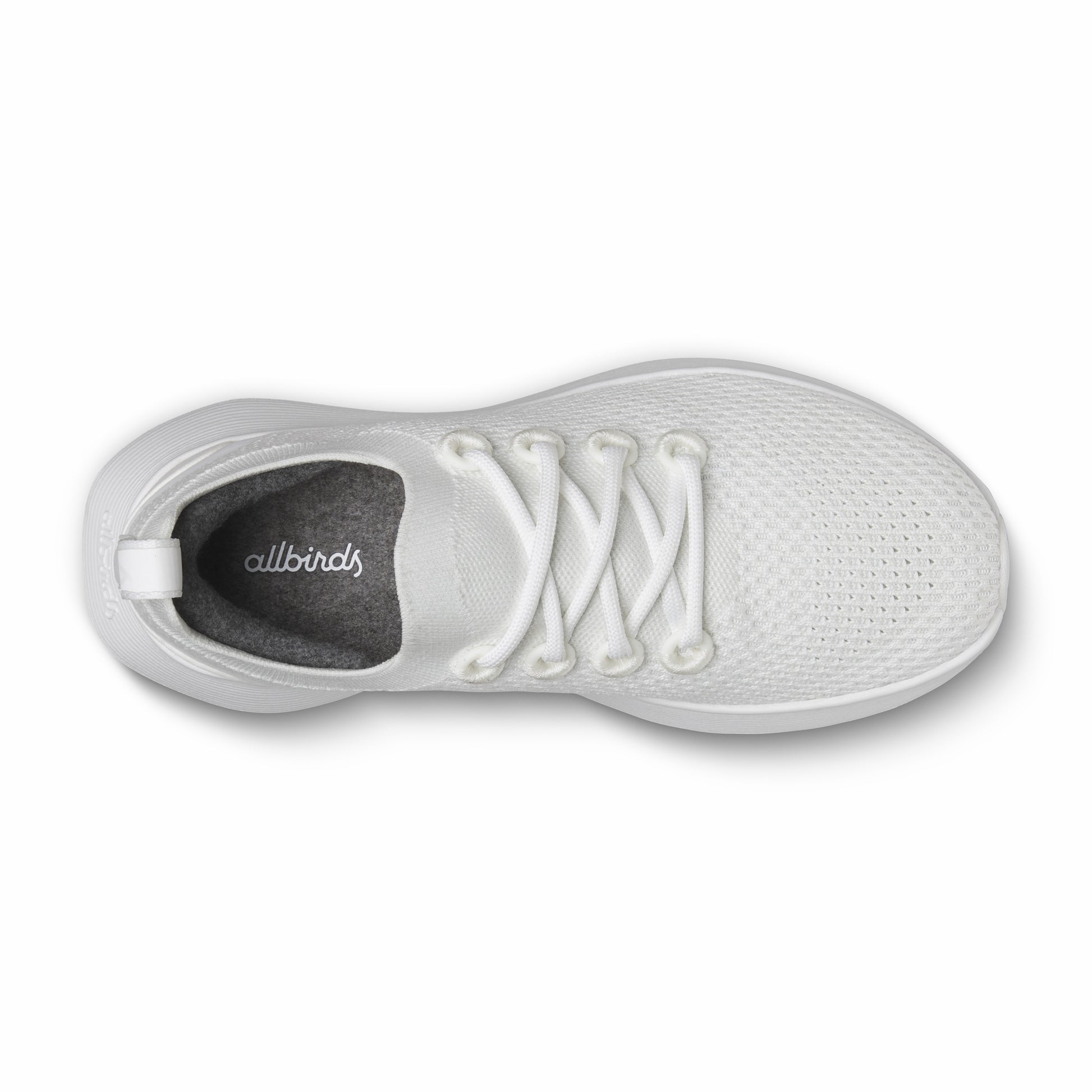 Dasher NZ / Allbirds