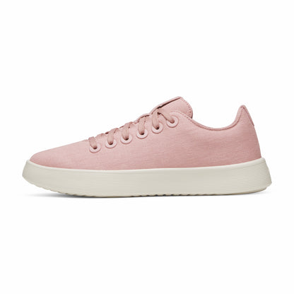 Canvas Cruiser / Allbirds