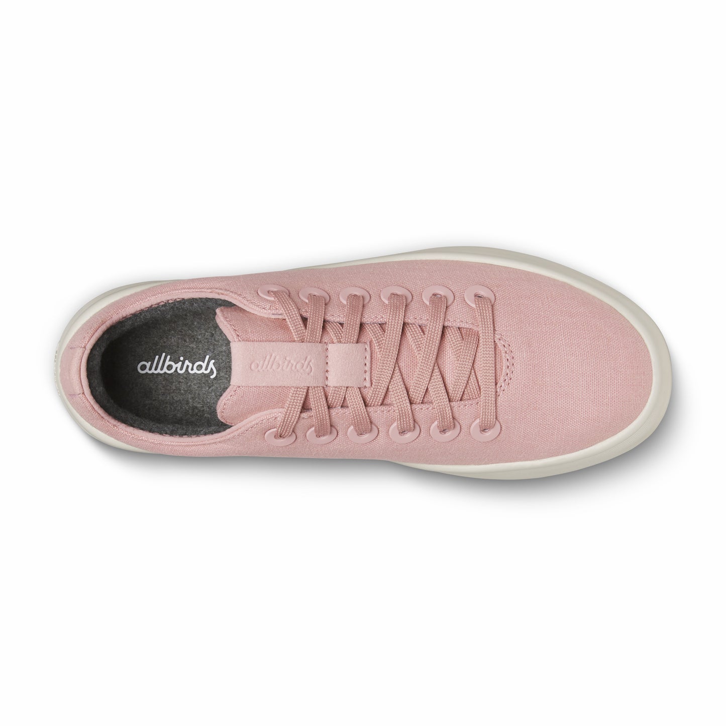 Canvas Cruiser / Allbirds