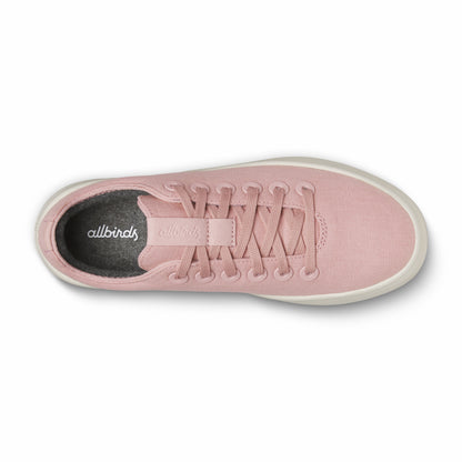 Canvas Cruiser / Allbirds