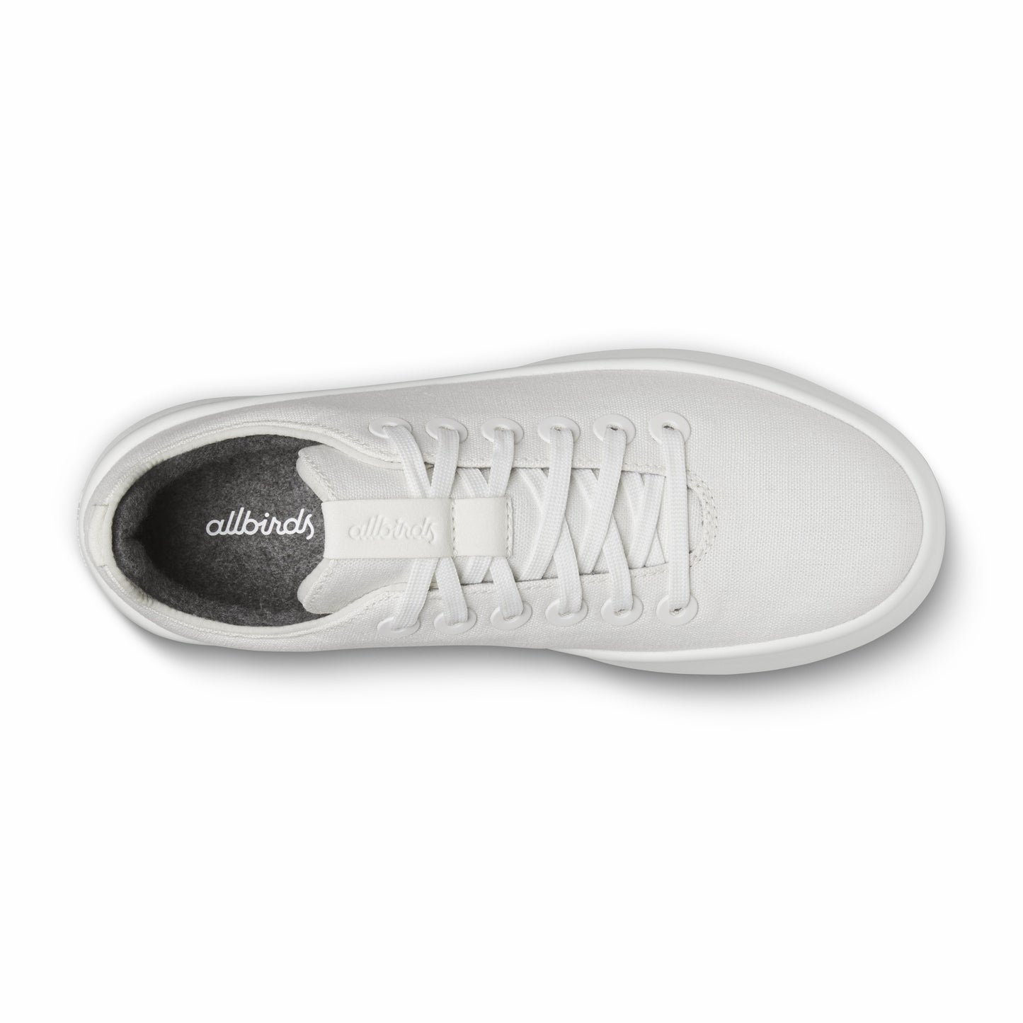 Canvas Cruiser / Allbirds