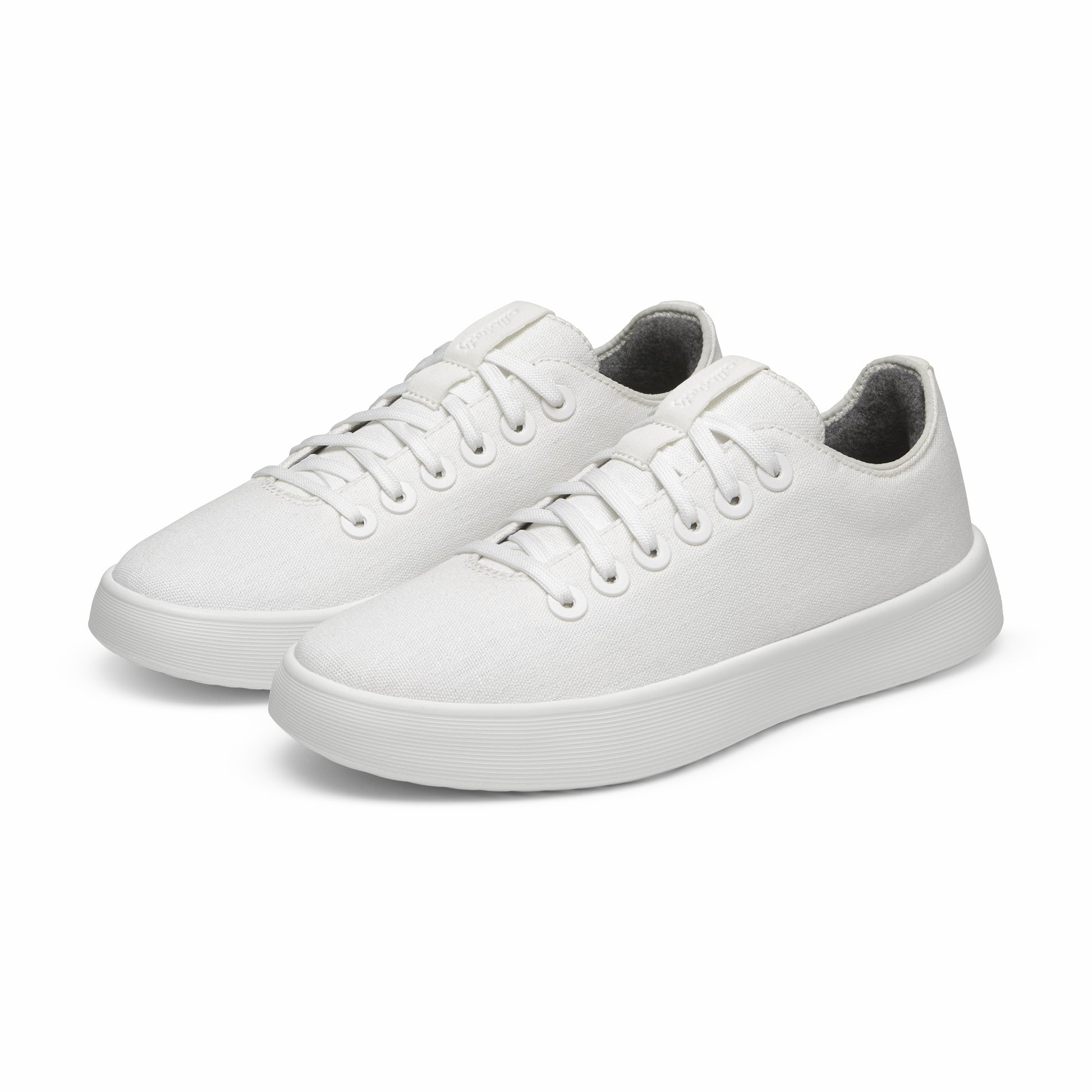 Canvas Cruiser / Allbirds