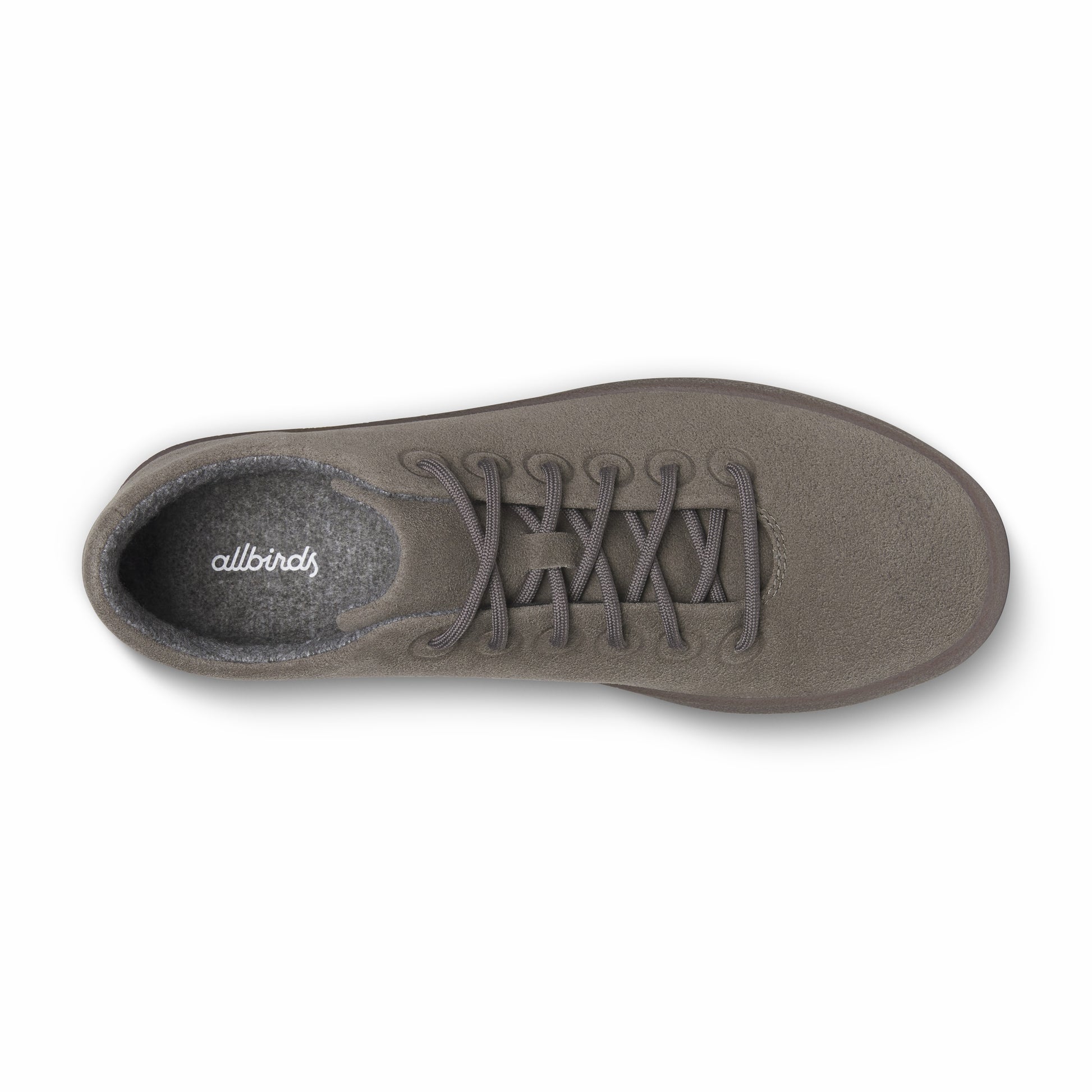 Cruiser Terralux / Allbirds