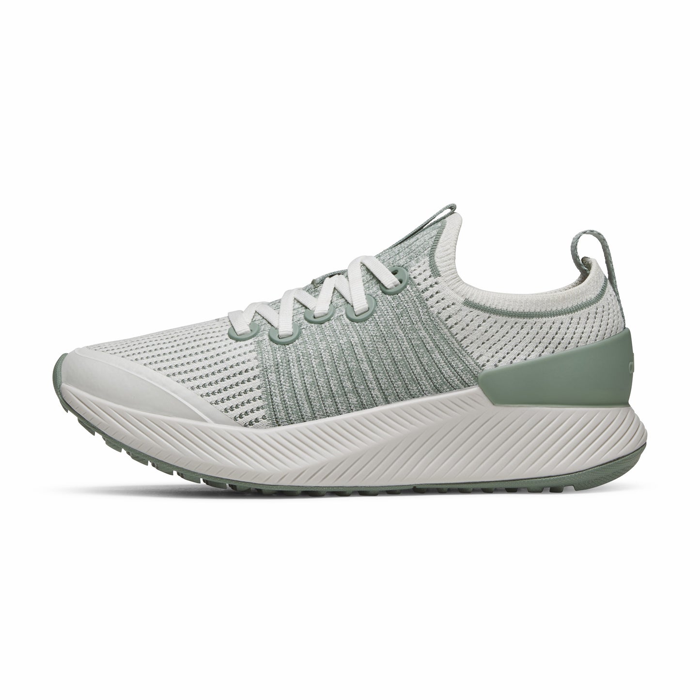 Tree Glider / Allbirds