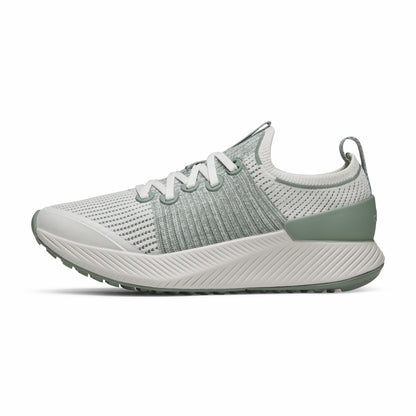 Tree Glider / Allbirds