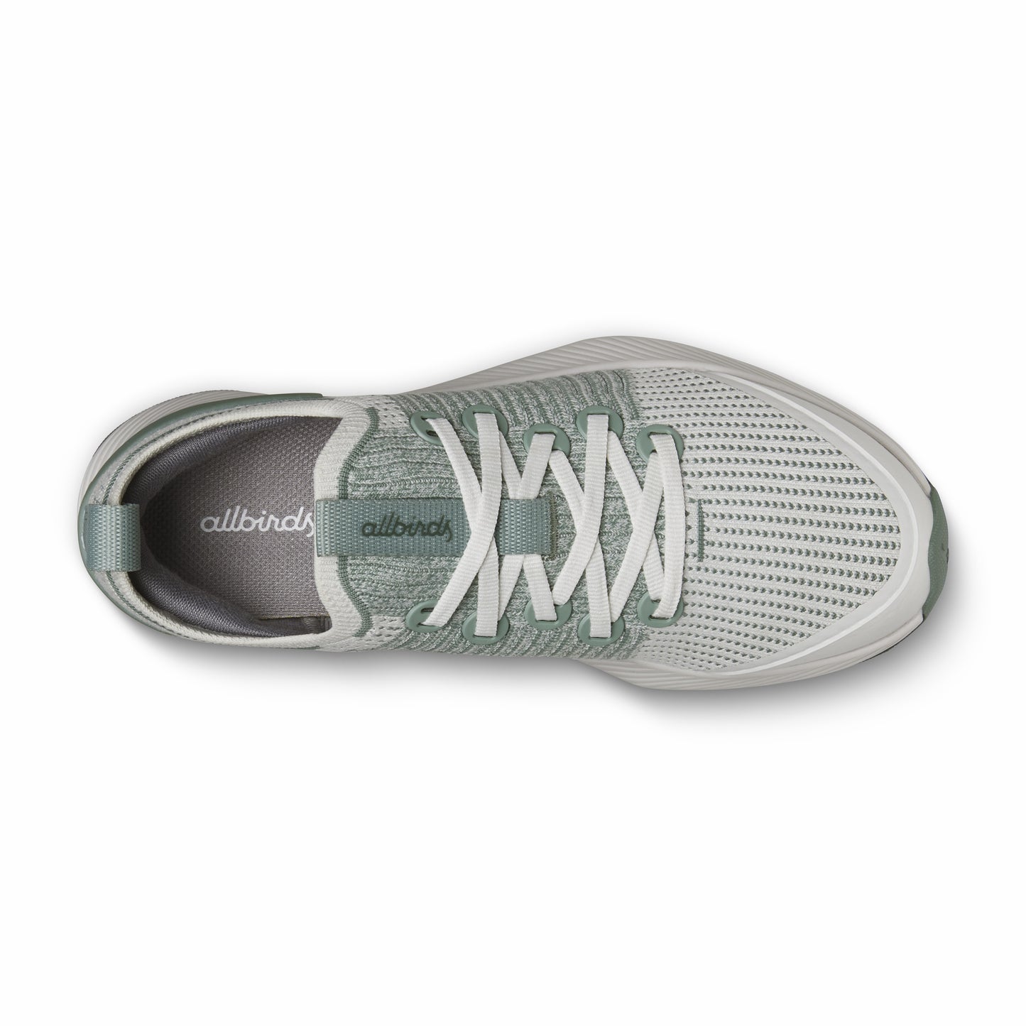 Tree Glider / Allbirds