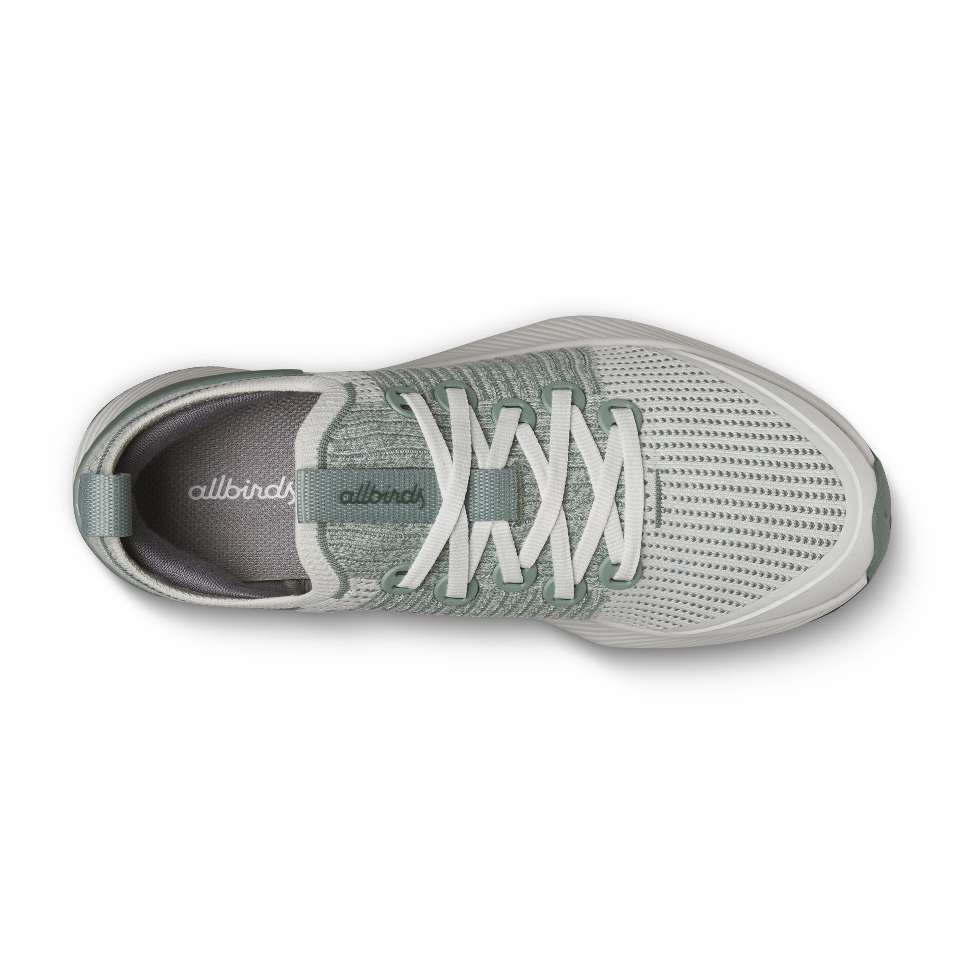 Tree Glider / Allbirds