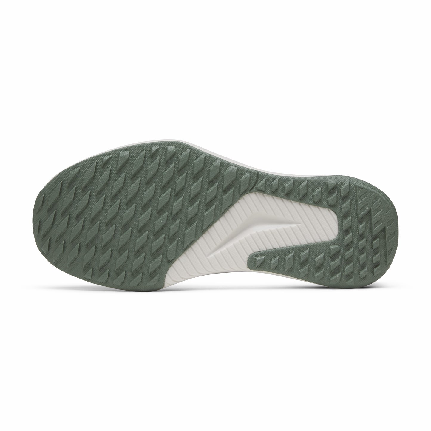 Tree Glider / Allbirds