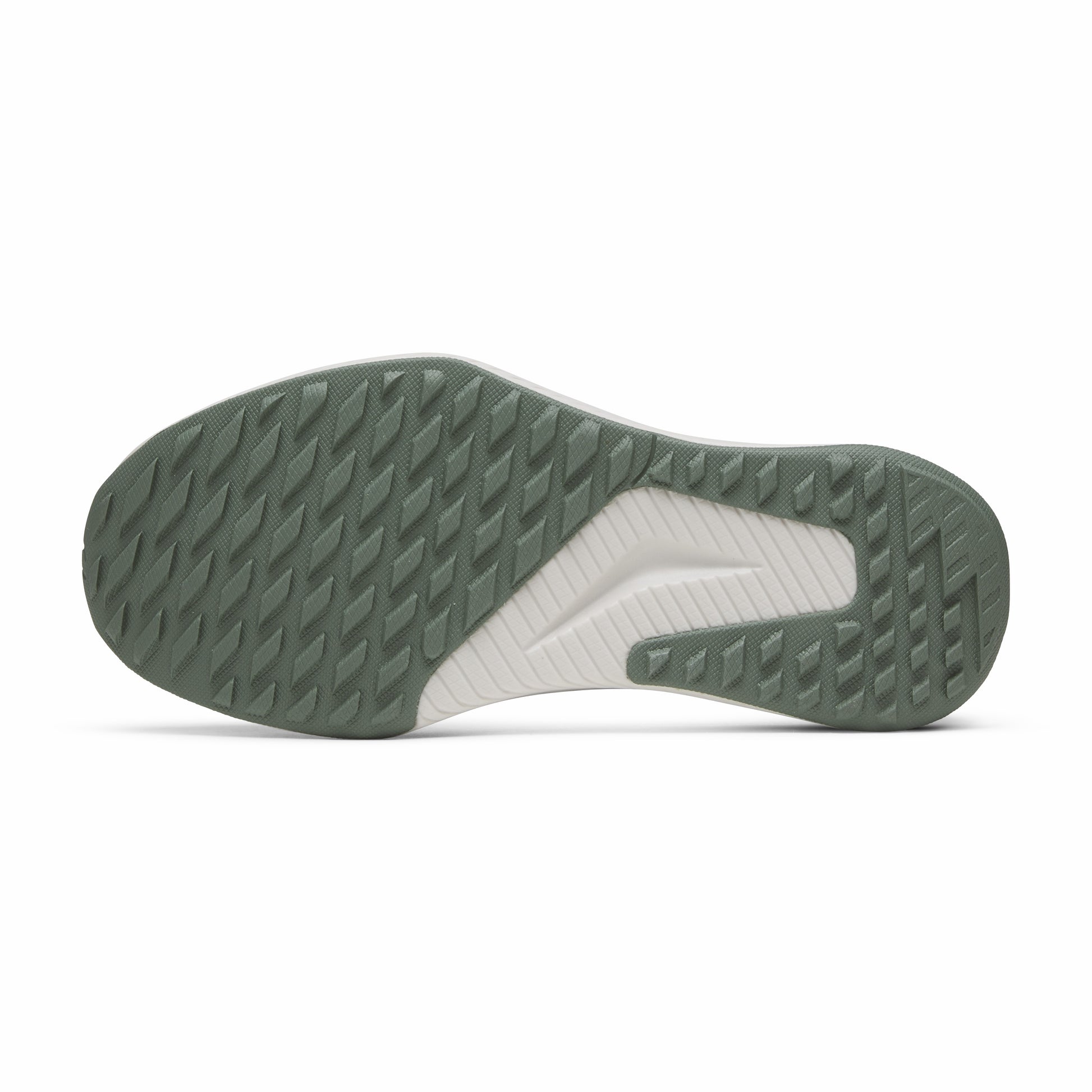 Tree Glider / Allbirds