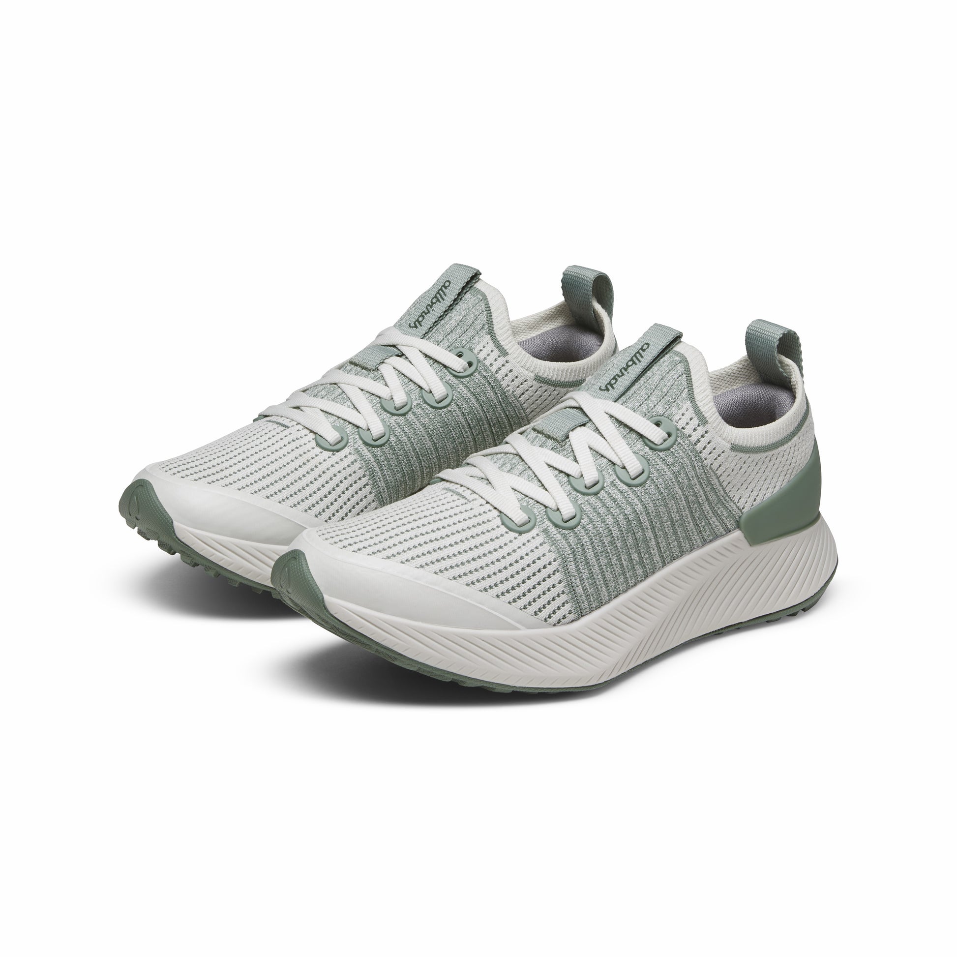 Tree Glider / Allbirds