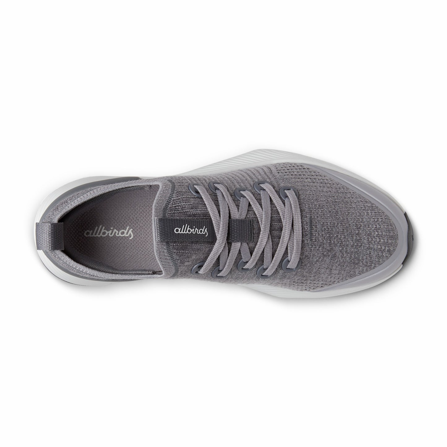 Tree Glider / Allbirds