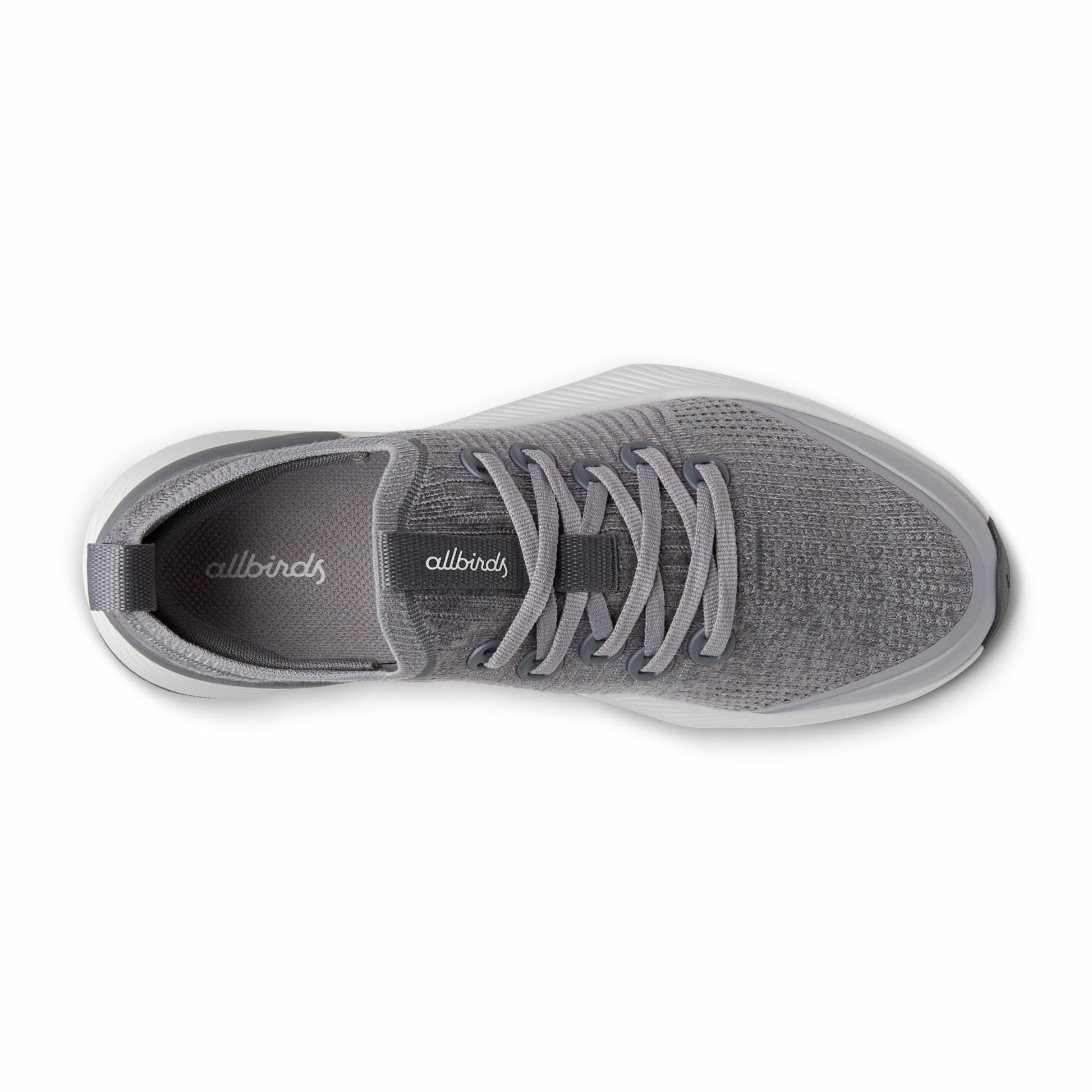 Tree Glider / Allbirds