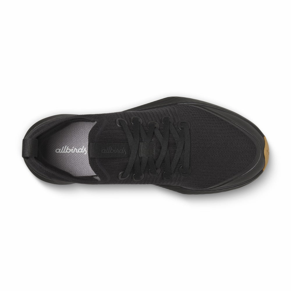 Tree Glider / Allbirds