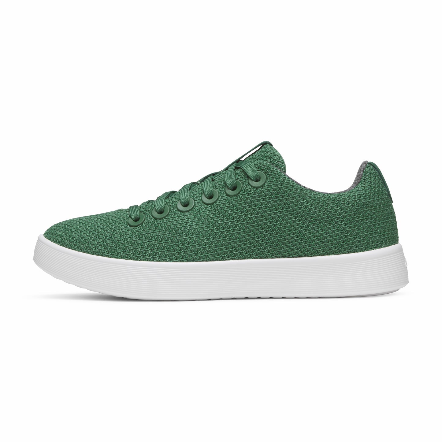 Cruiser / Allbirds