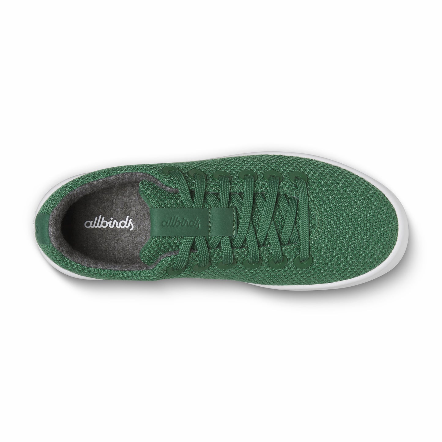 Cruiser / Allbirds