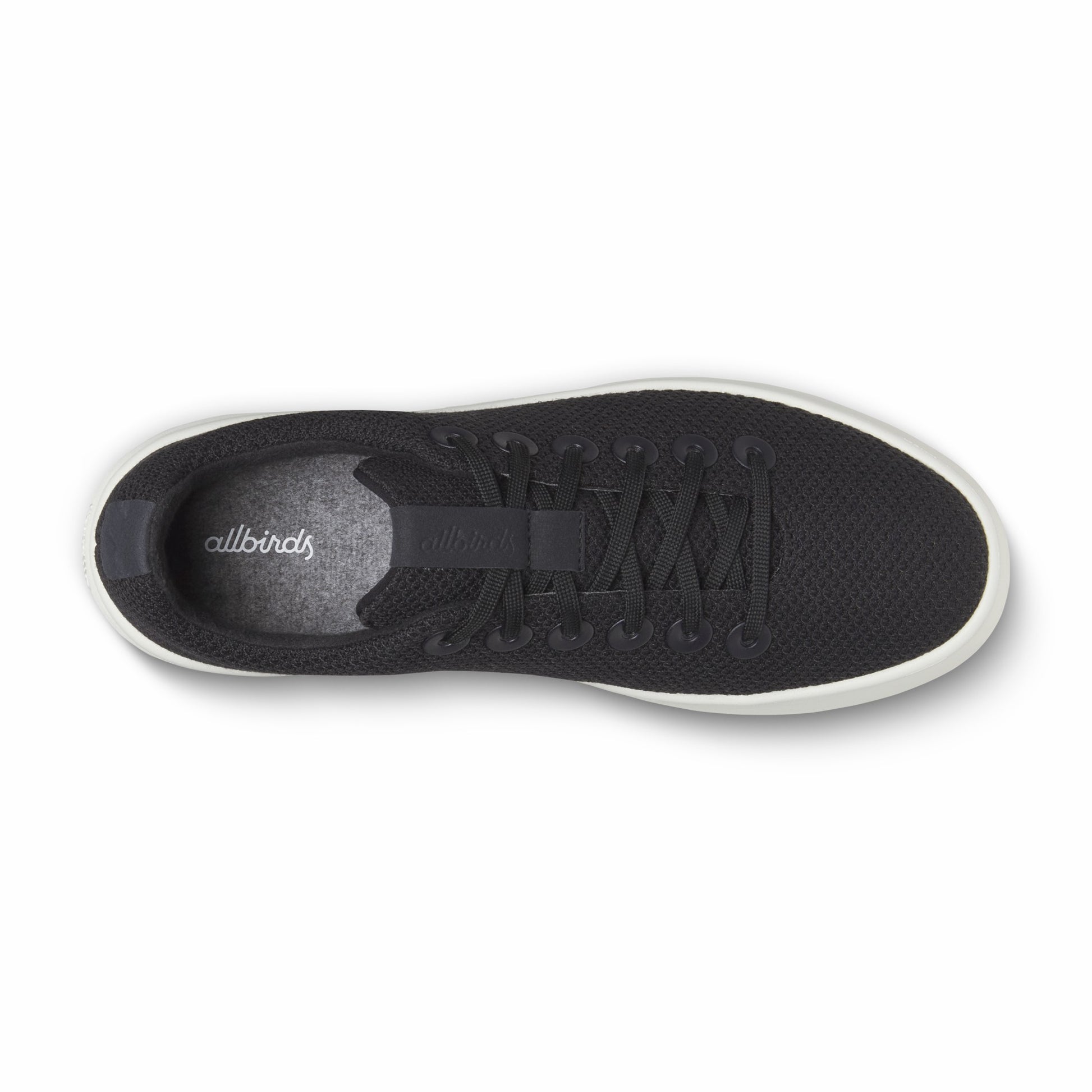 Cruiser / Allbirds