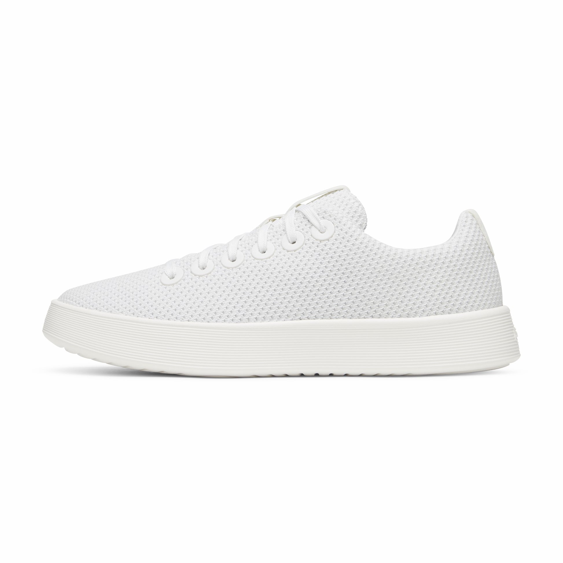 Cruiser / Allbirds