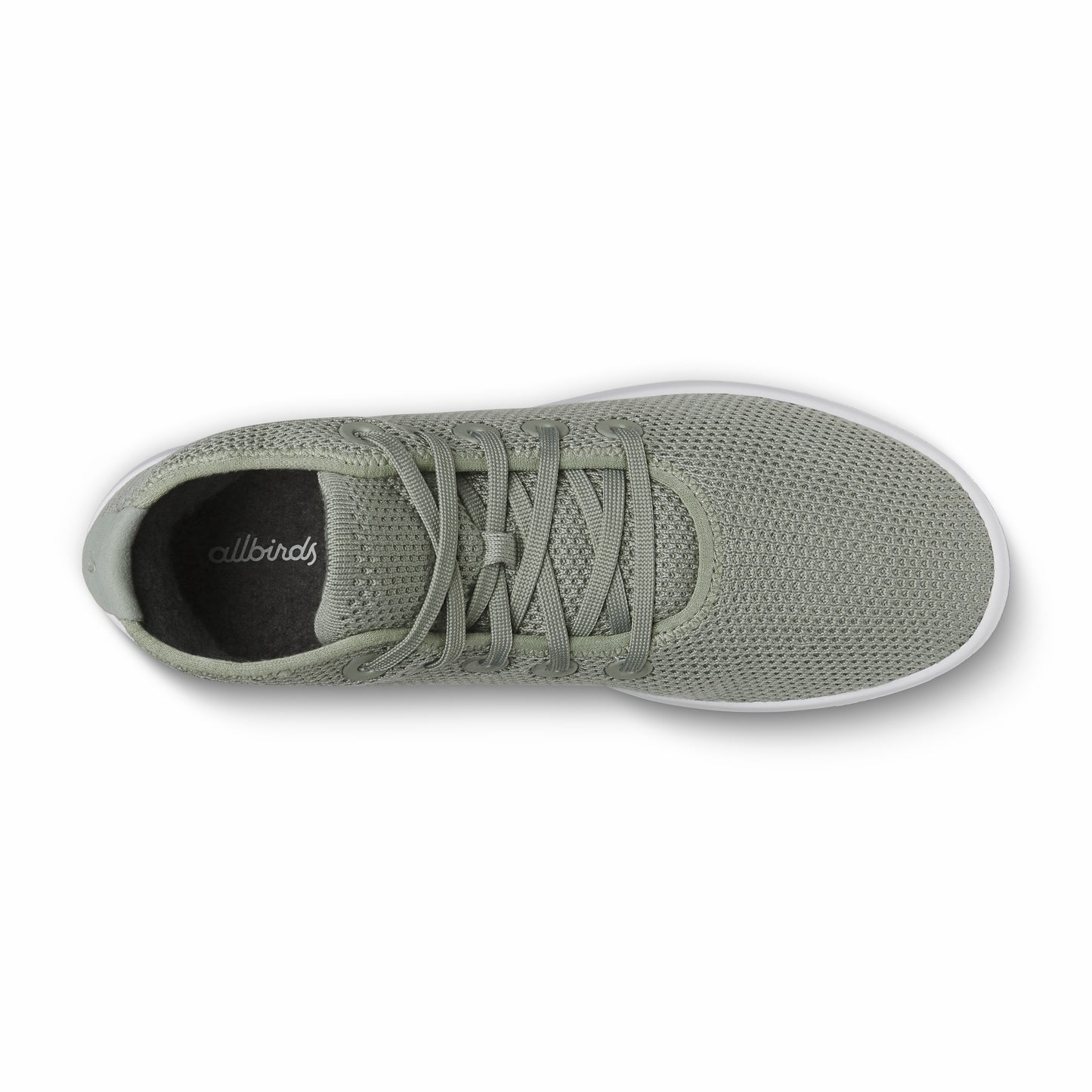 Tree Topper / Allbirds