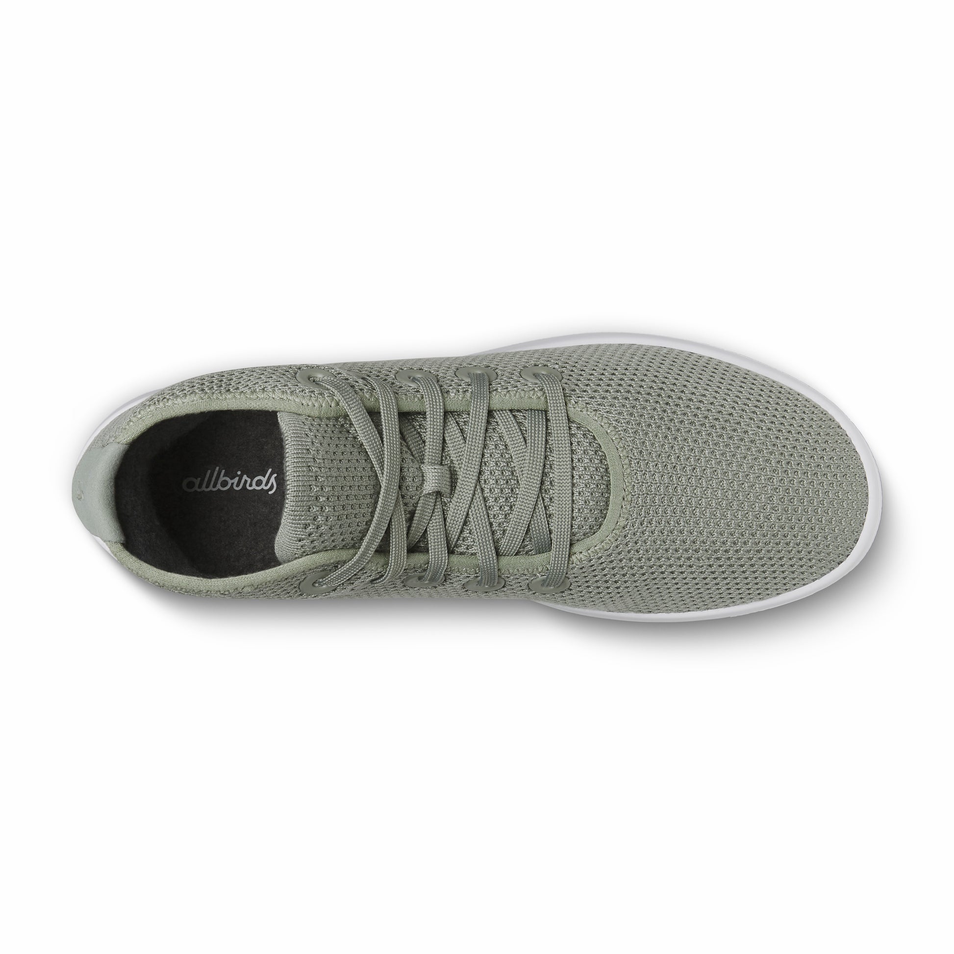 Tree Topper / Allbirds